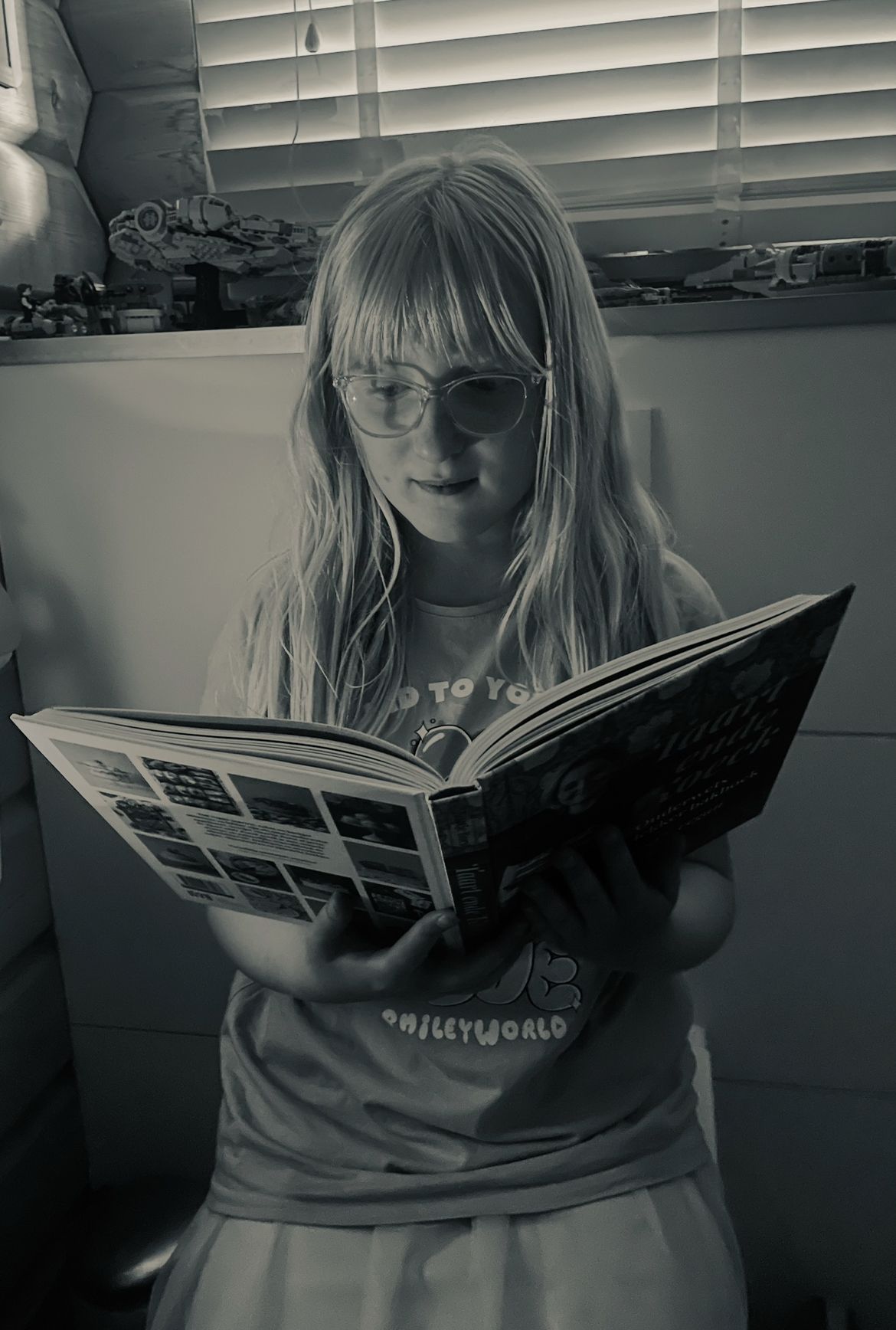 Marins schildpadden briga