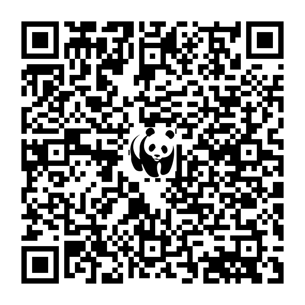 Scan deze QR-code om te doneren (vernieuw de pagina als je geen QR-code ziet)