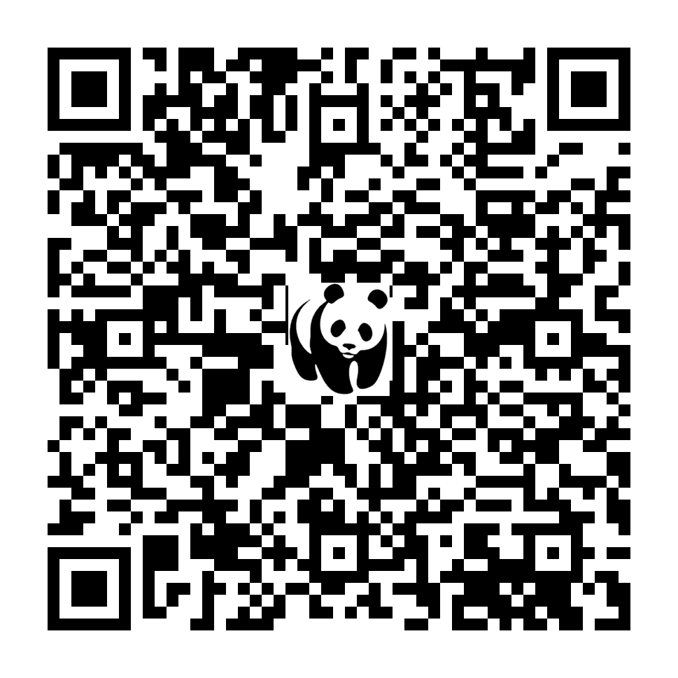Scan deze QR-code om te doneren (vernieuw de pagina als je geen QR-code ziet)