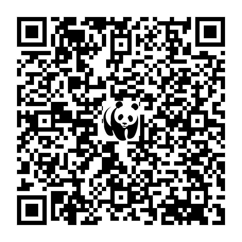 Scan deze QR-code om te doneren (vernieuw de pagina als je geen QR-code ziet)