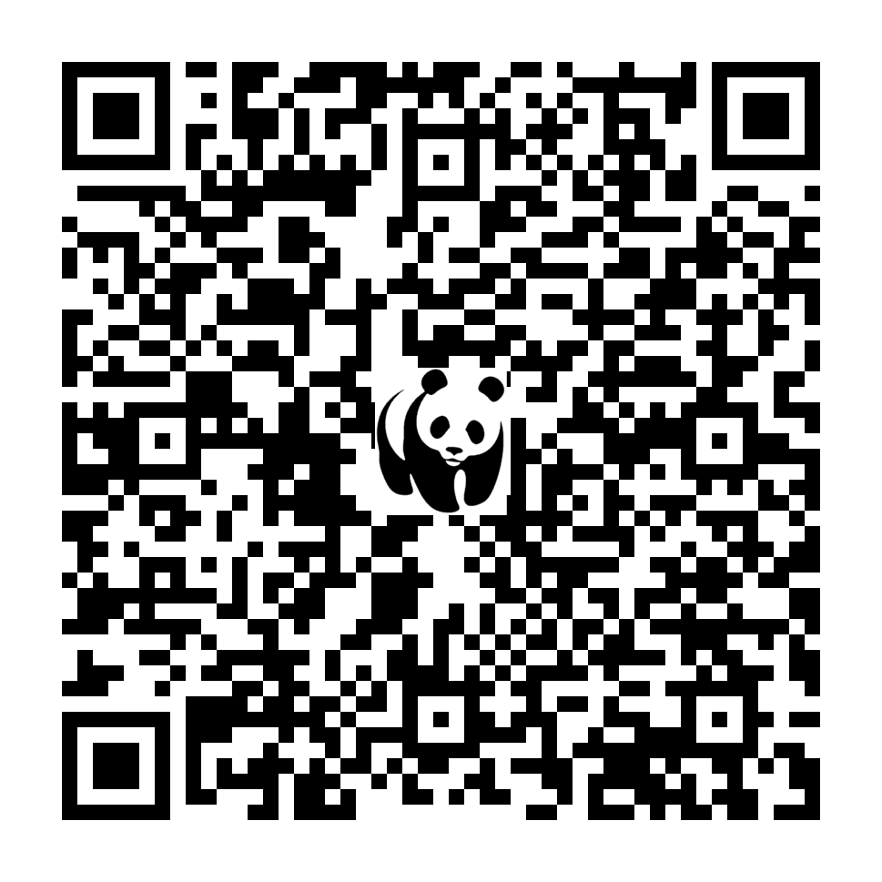 Scan deze QR-code om te doneren (vernieuw de pagina als je geen QR-code ziet)
