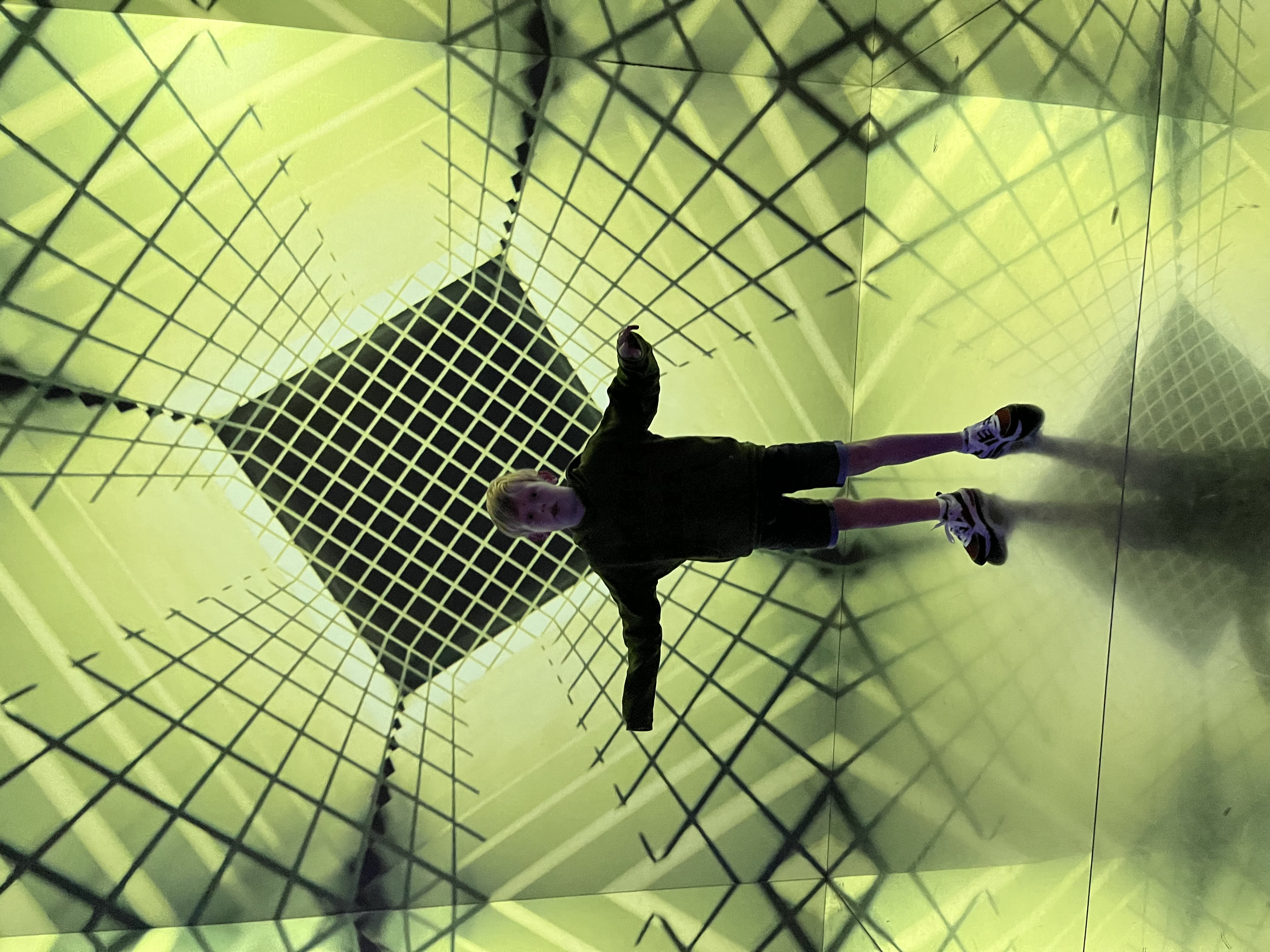 Ole redt een olifant