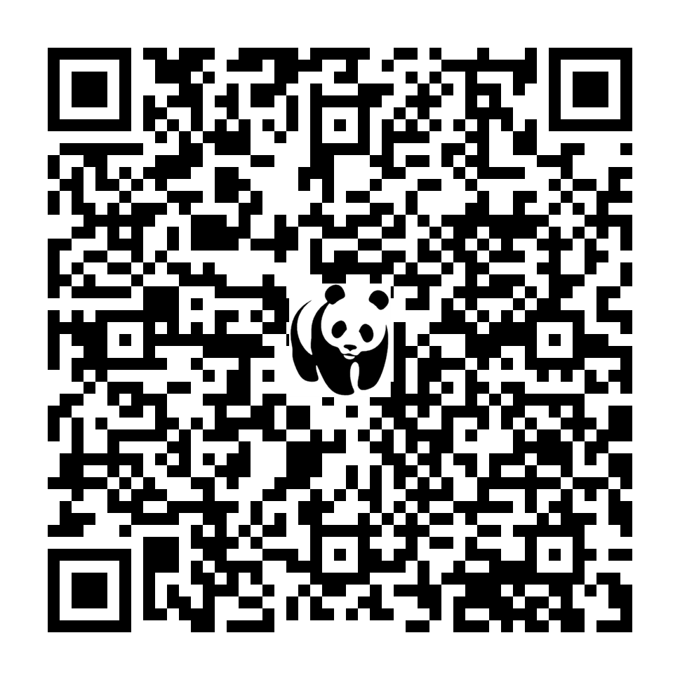 Scan deze QR-code om te doneren (vernieuw de pagina als je geen QR-code ziet)