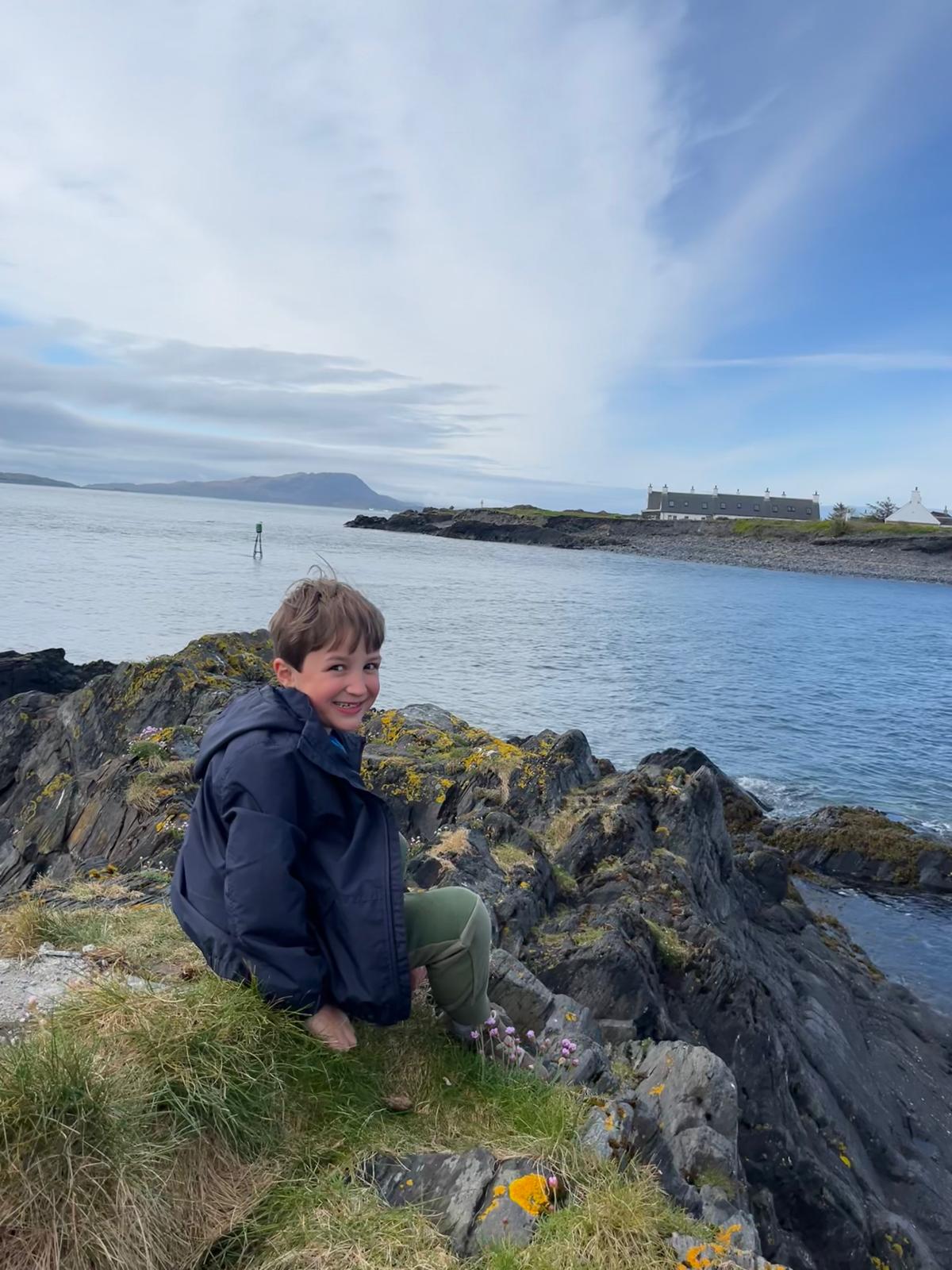 Toms schildpadmissie