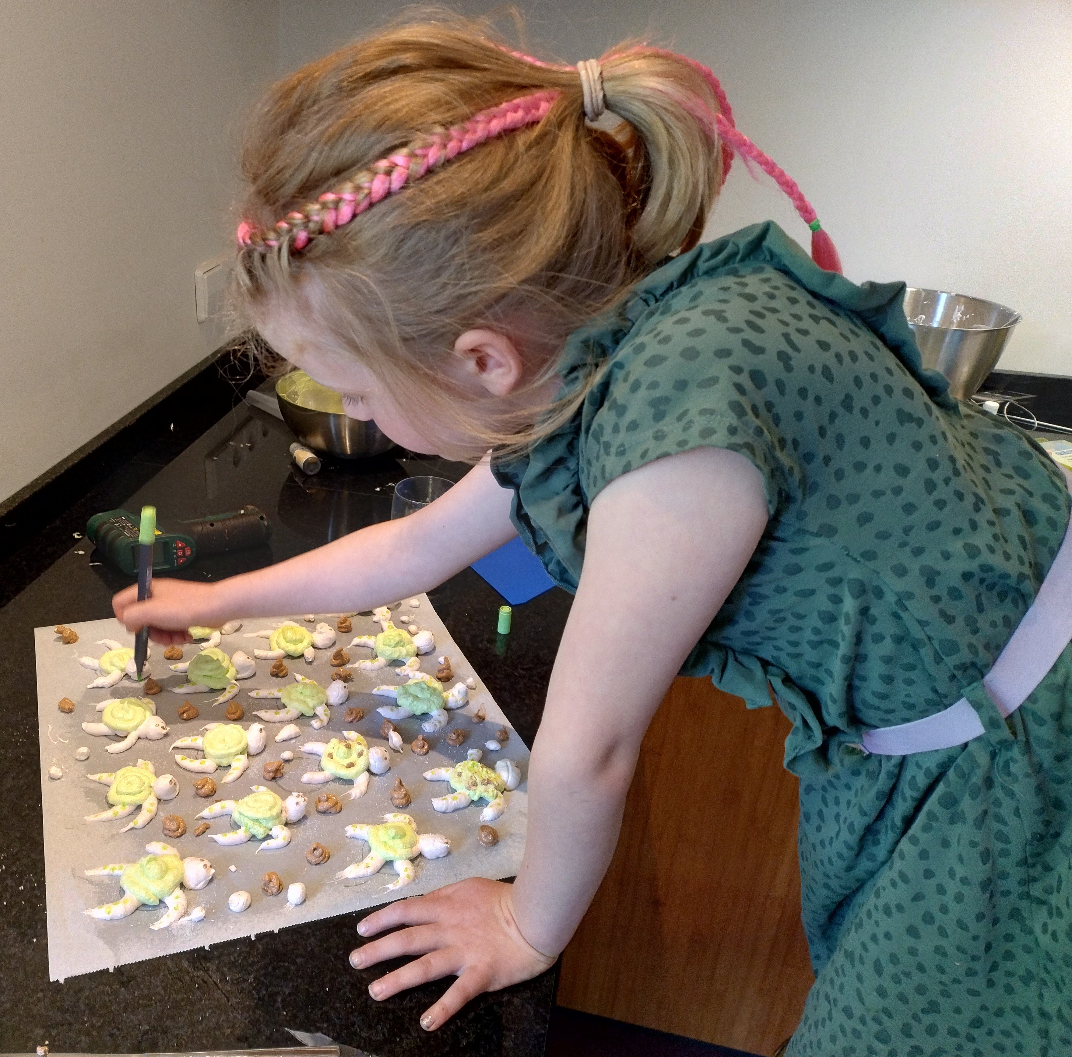 schildpad marshmallow