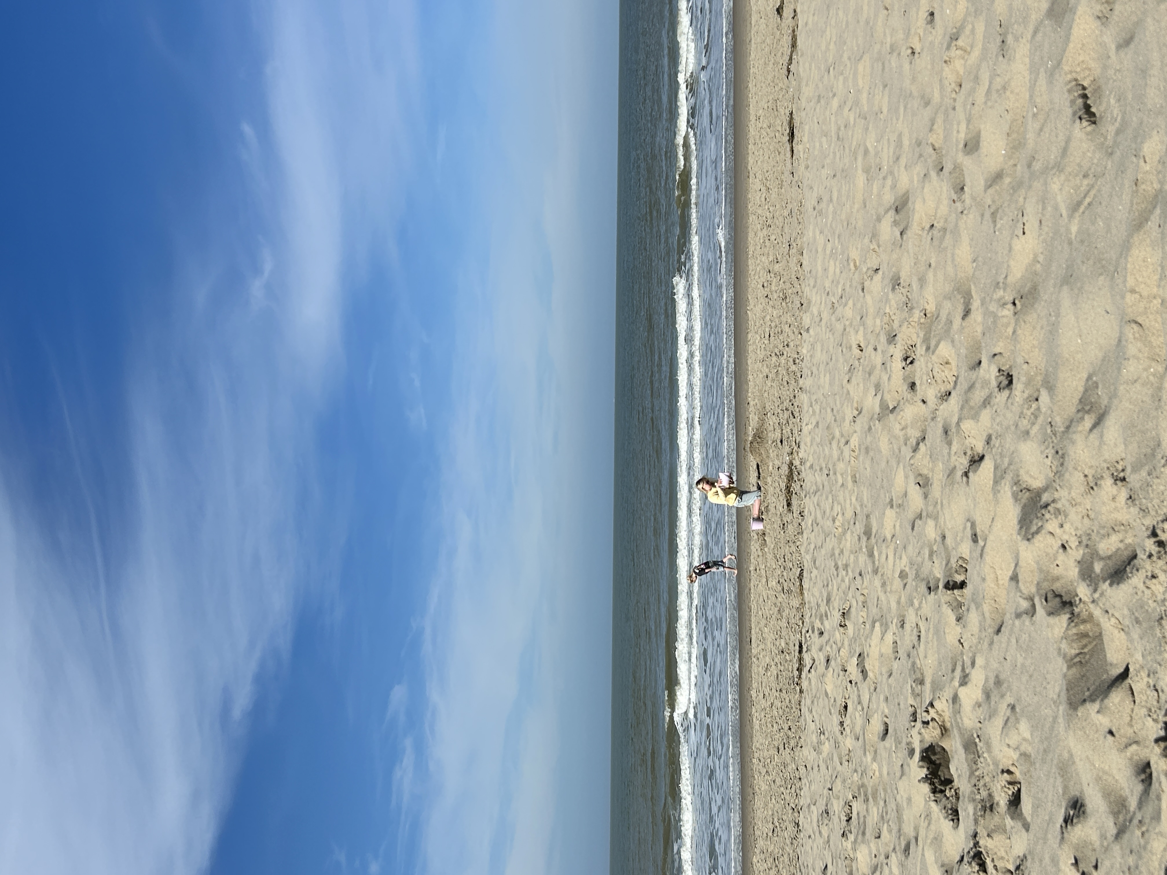 Dierenwereld kaartjes