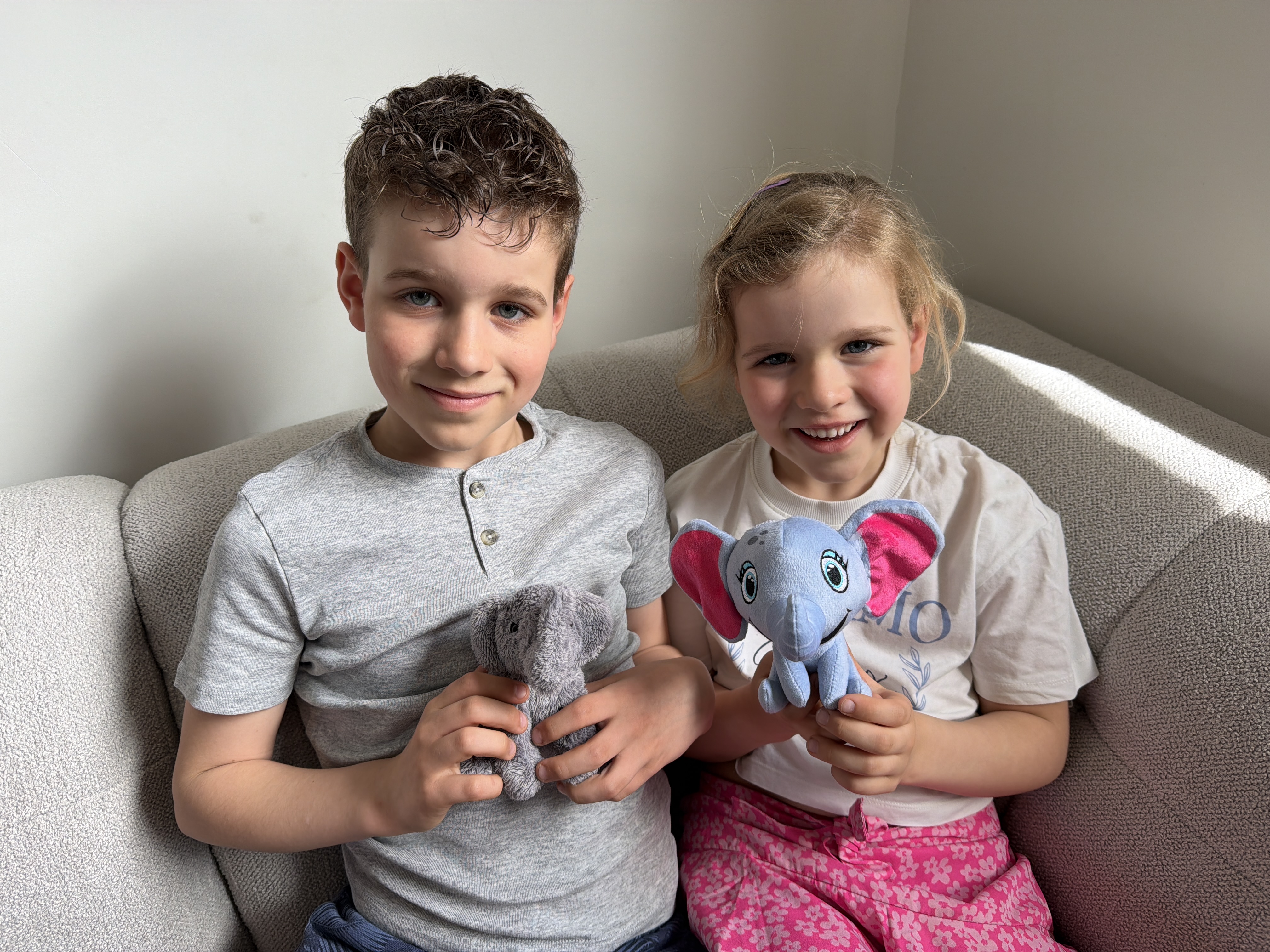 Wij helpen de olifanten