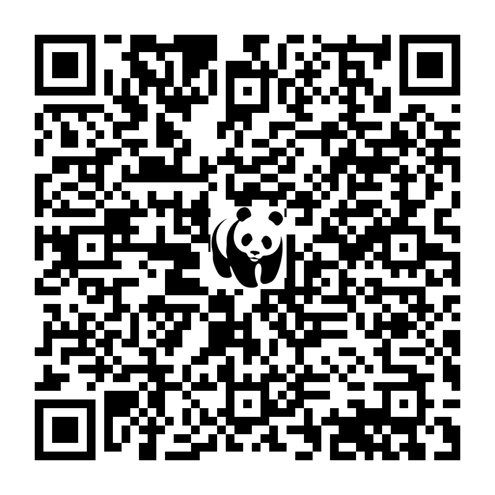 Scan deze QR-code om te doneren (vernieuw de pagina als je geen QR-code ziet)