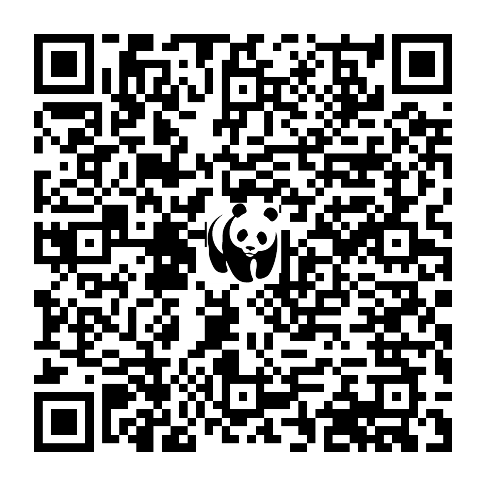 Scan deze QR-code om te doneren (vernieuw de pagina als je geen QR-code ziet)