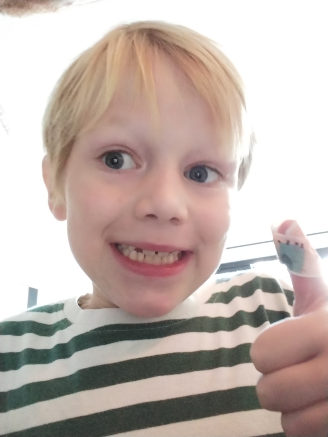 Mees de dierenredder