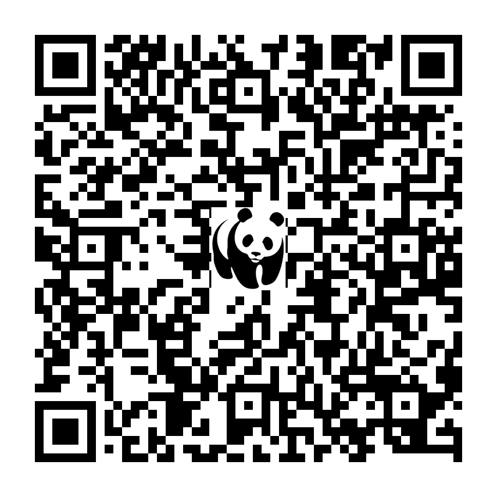 Scan deze QR-code om te doneren (vernieuw de pagina als je geen QR-code ziet)
