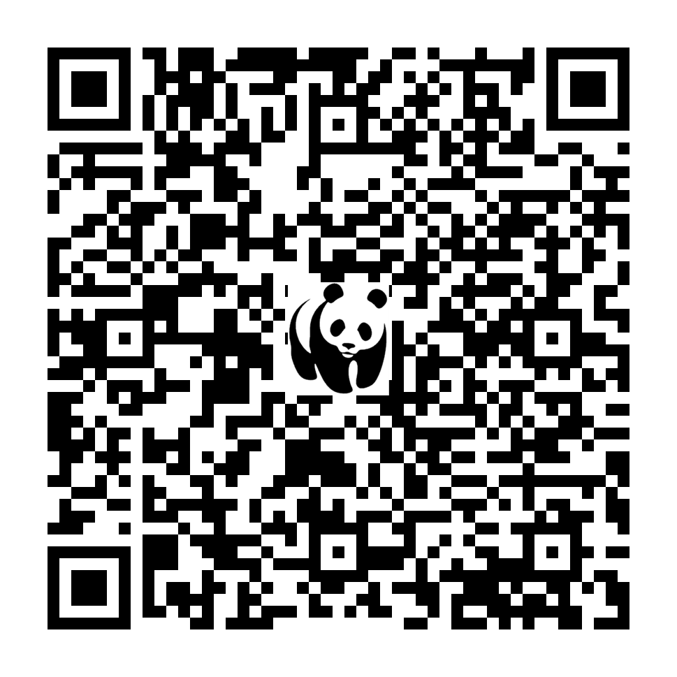 Scan deze QR-code om te doneren (vernieuw de pagina als je geen QR-code ziet)