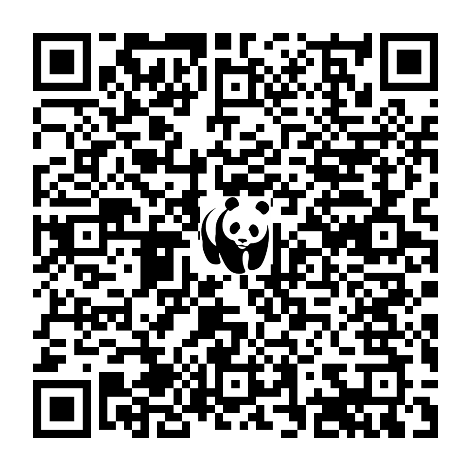 Scan deze QR-code om te doneren (vernieuw de pagina als je geen QR-code ziet)