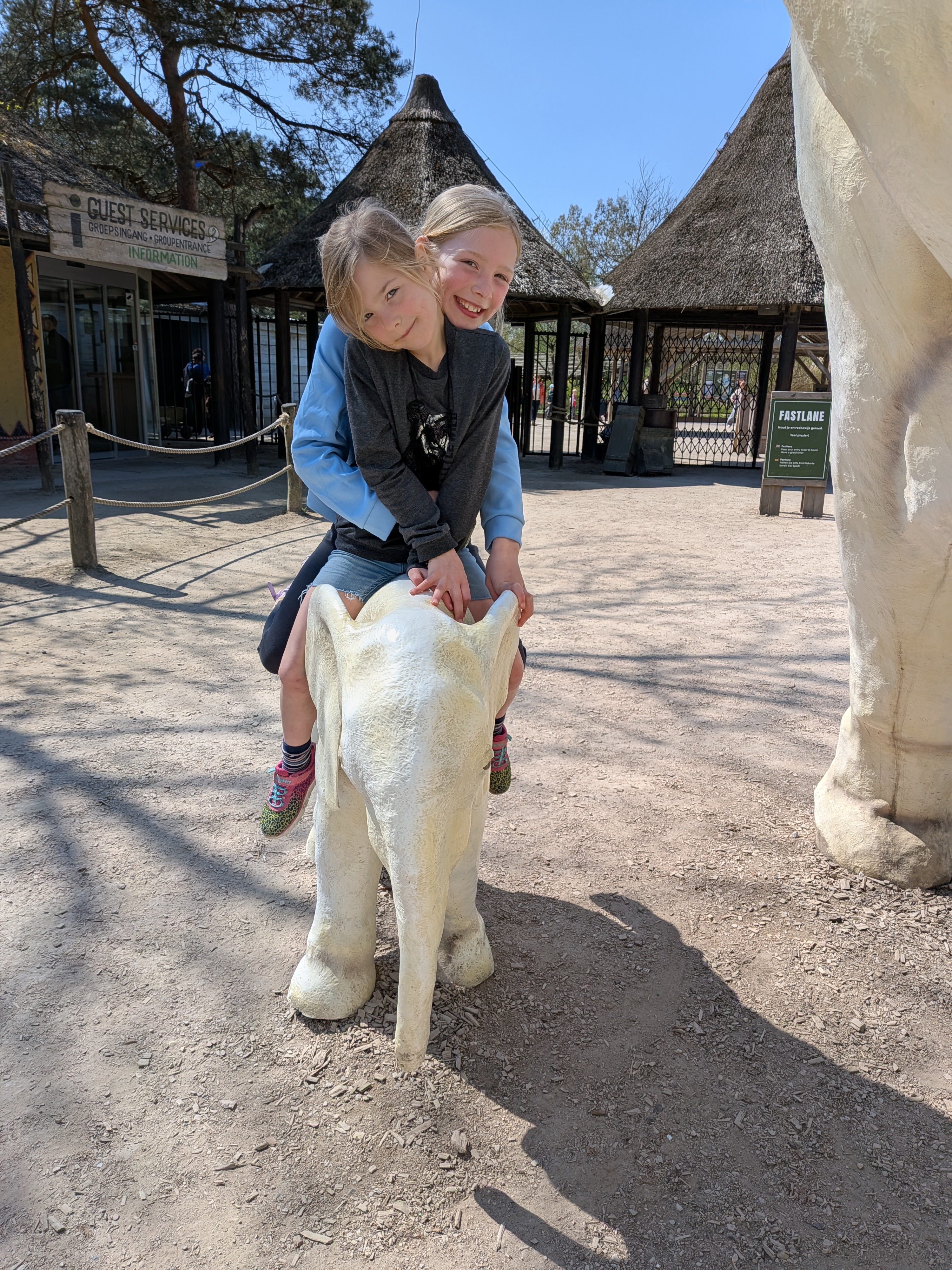 Wassen voor de olifant