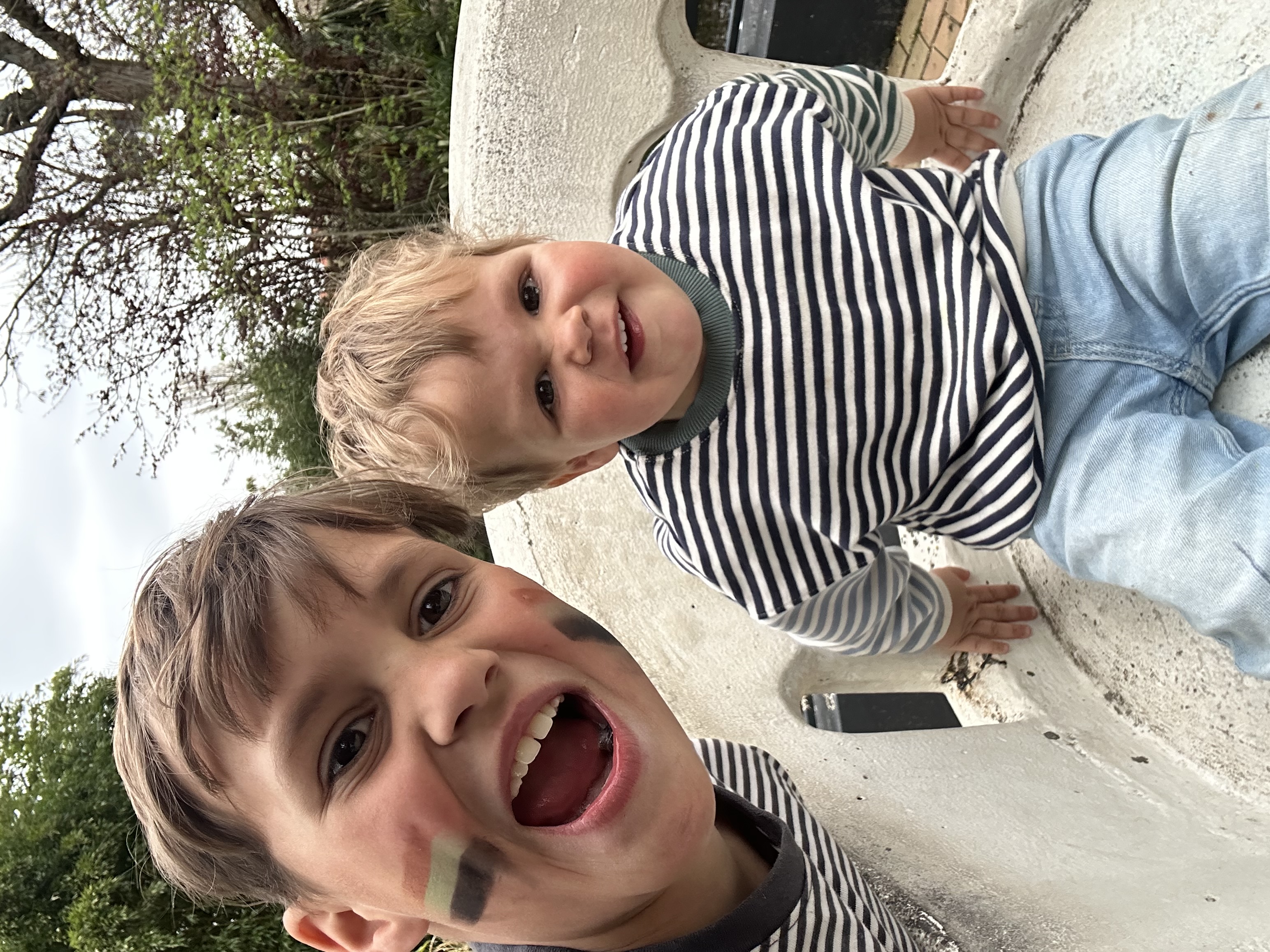 Sta op voor de olifant