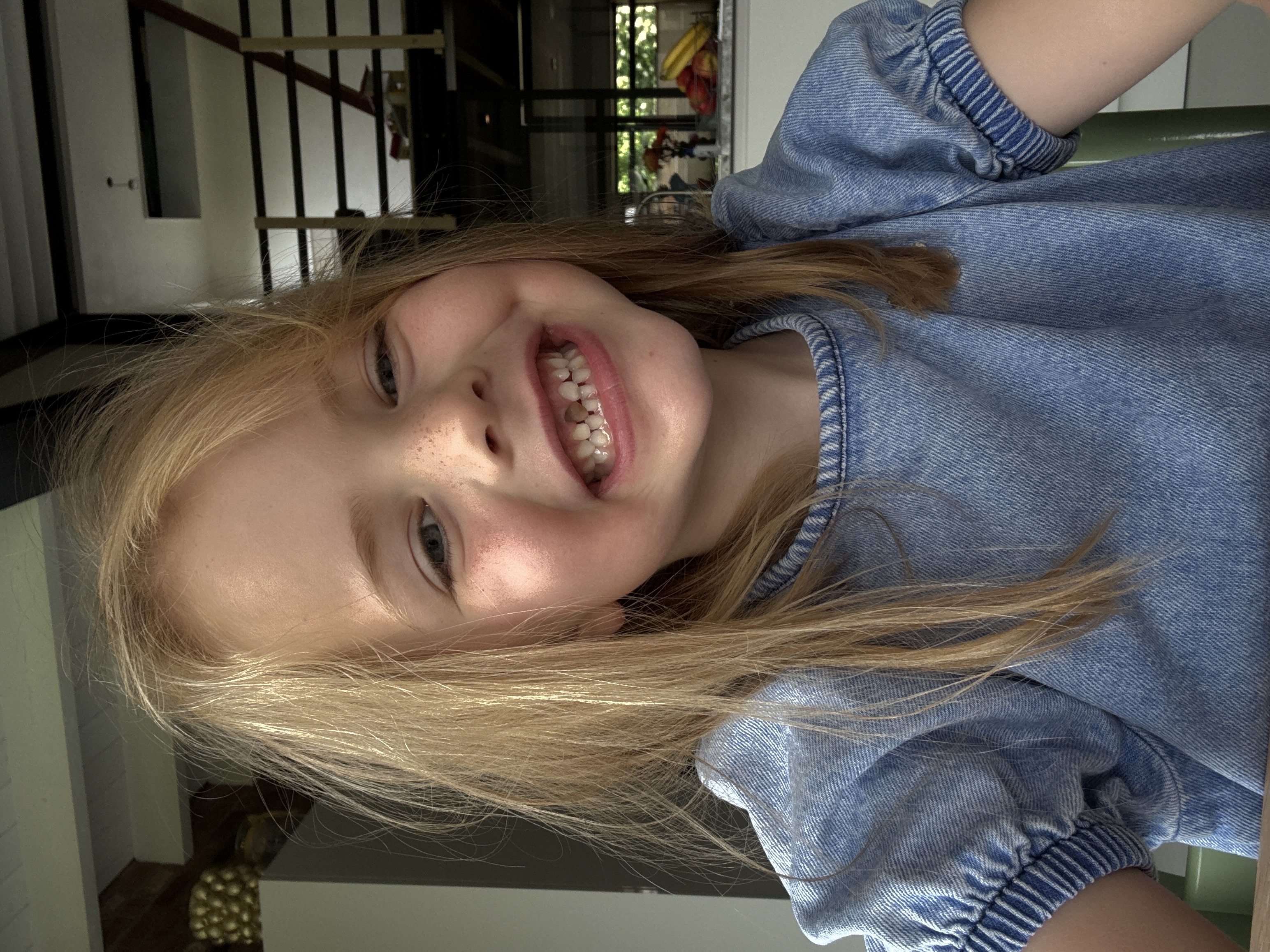 Igone red de schildpad