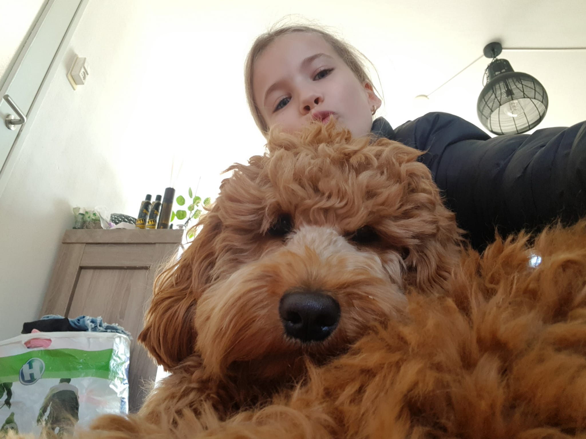 Help familie zeeschildpad