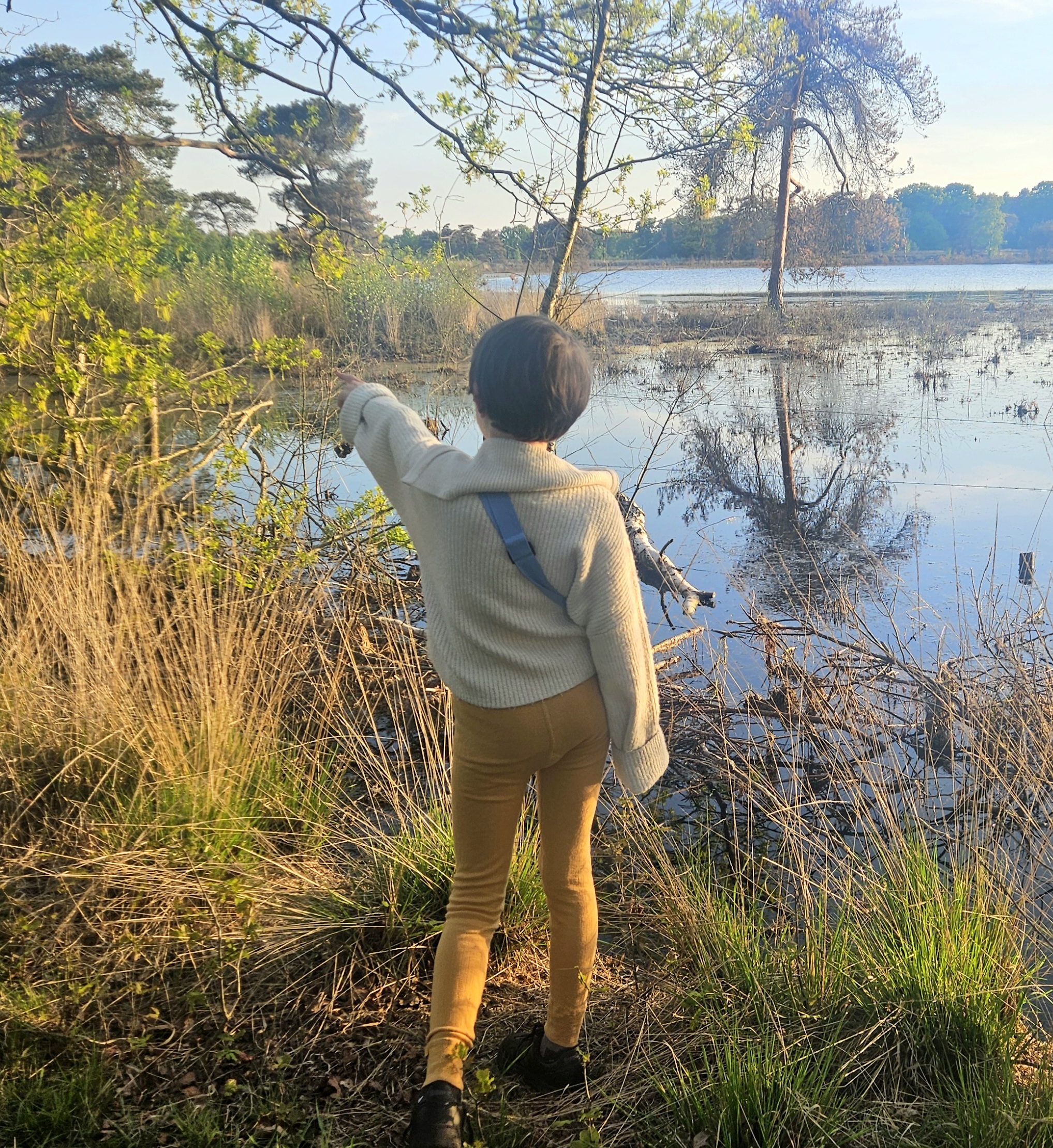 Maras zeeschildpadden