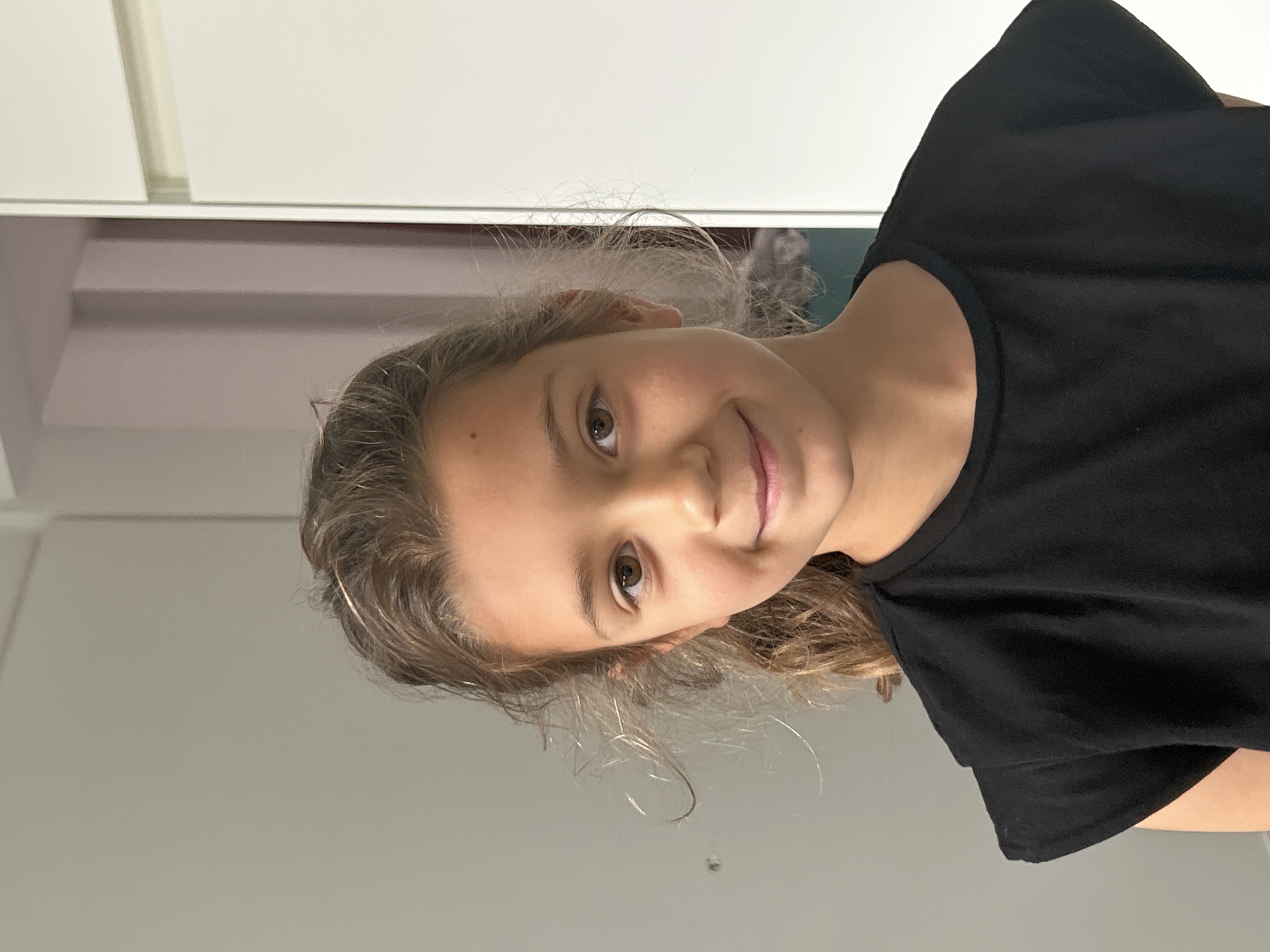 Dali red de schildpadden