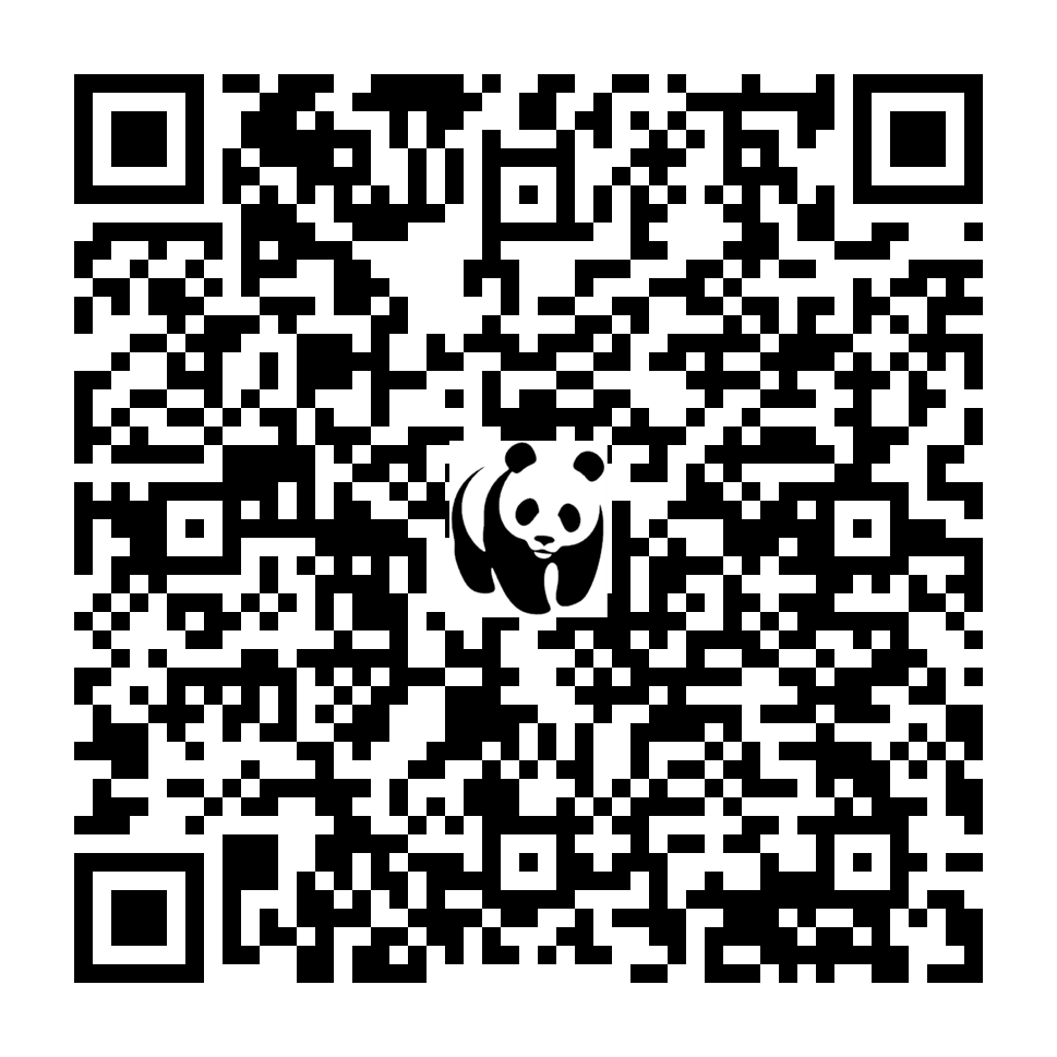 Scan deze QR-code om te doneren (vernieuw de pagina als je geen QR-code ziet)