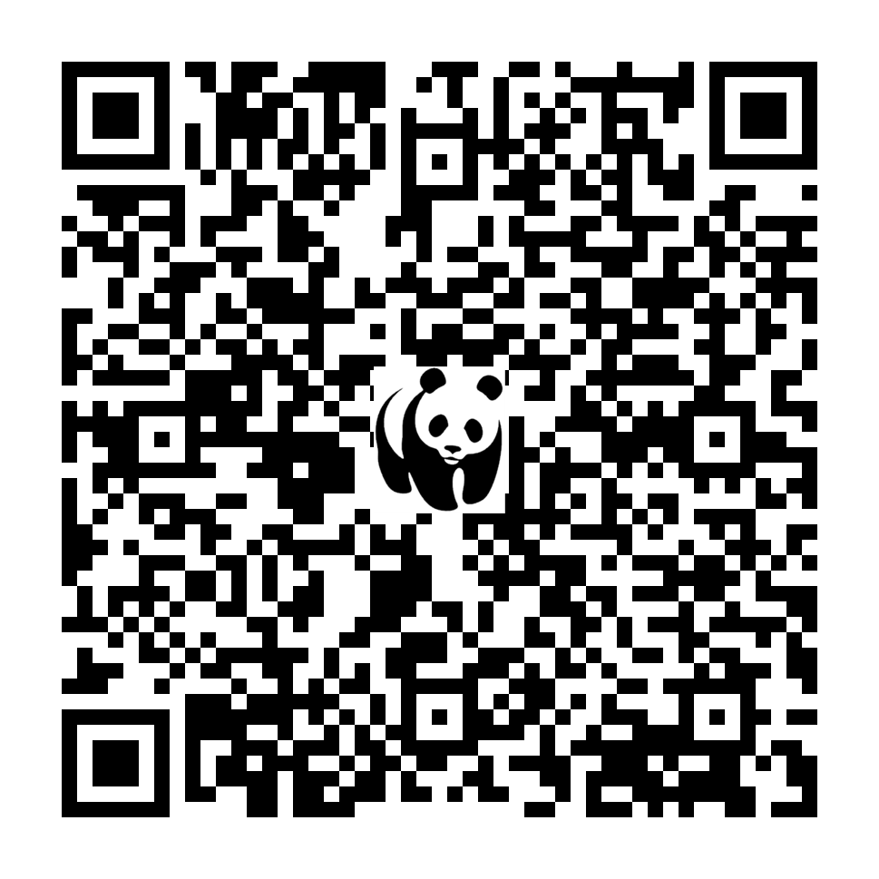 Scan deze QR-code om te doneren (vernieuw de pagina als je geen QR-code ziet)