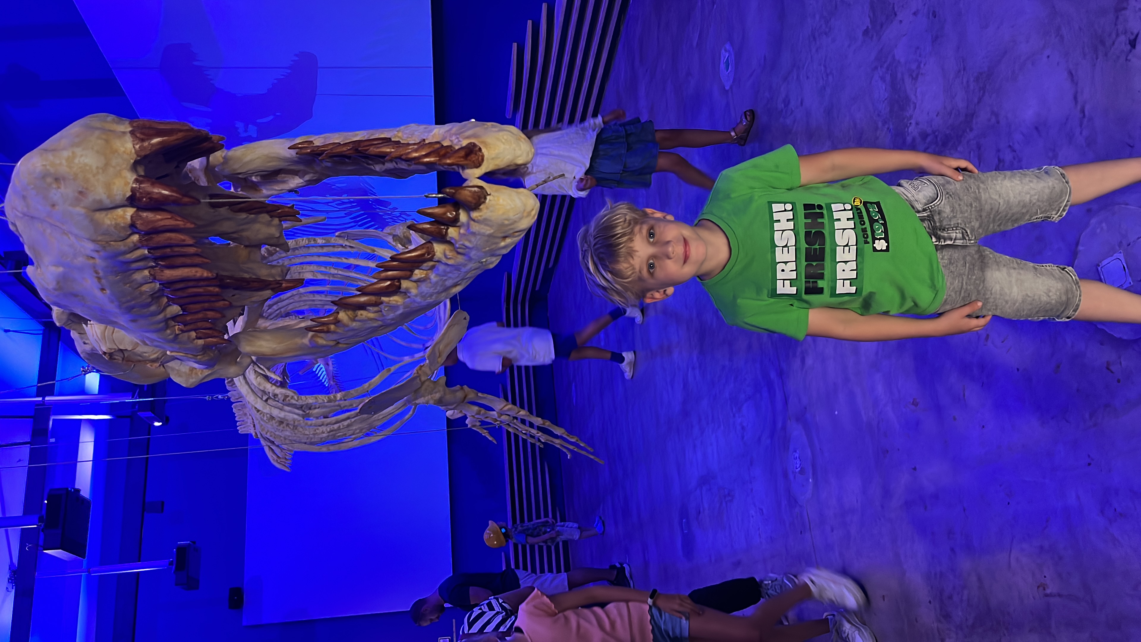 Schildpadden cupcakes