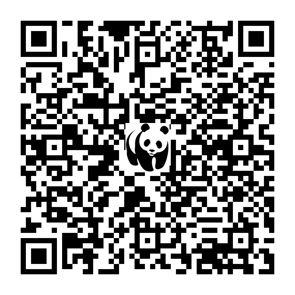Scan deze QR-code om te doneren (vernieuw de pagina als je geen QR-code ziet)