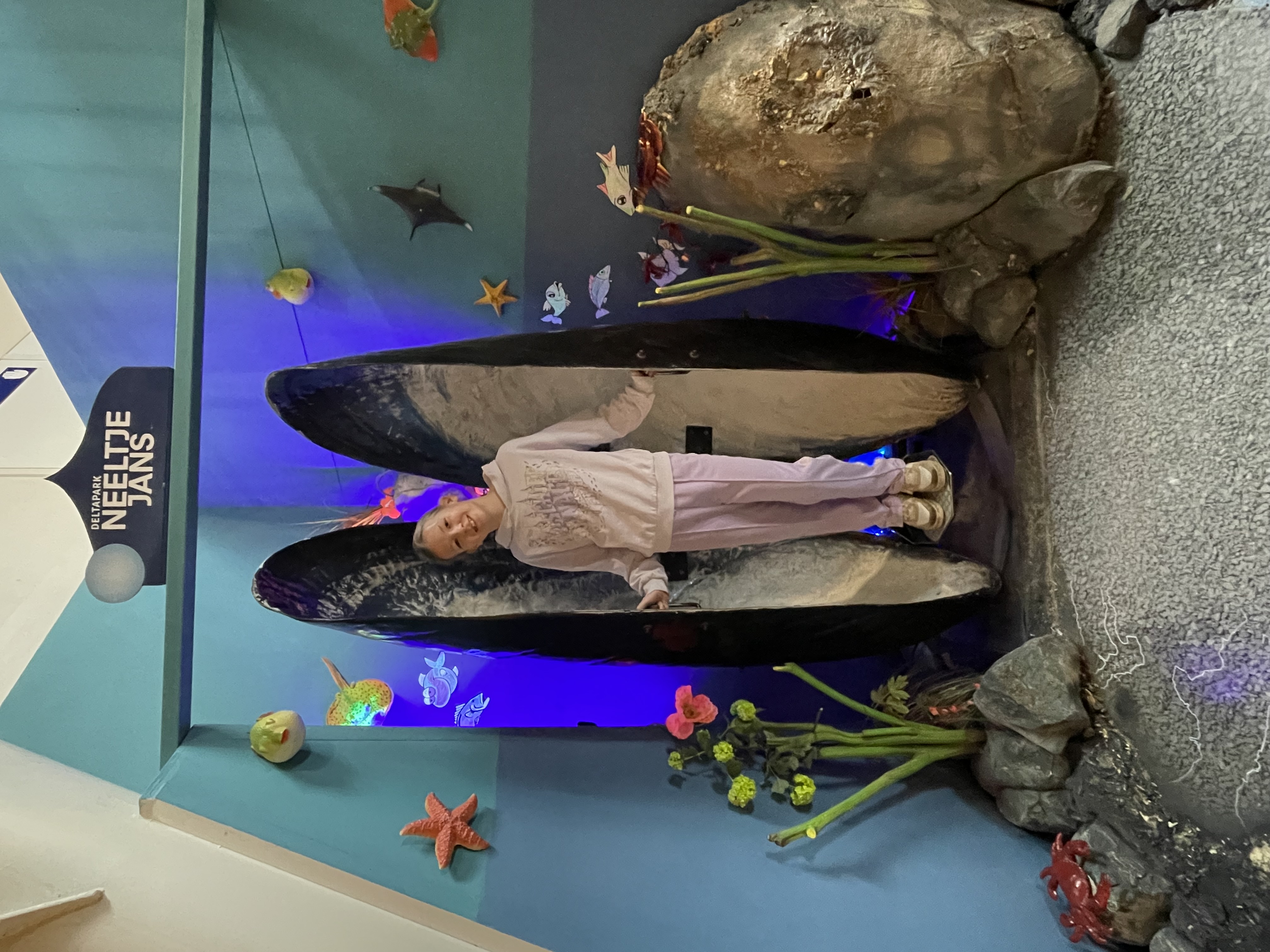 Hulp voor de olifant