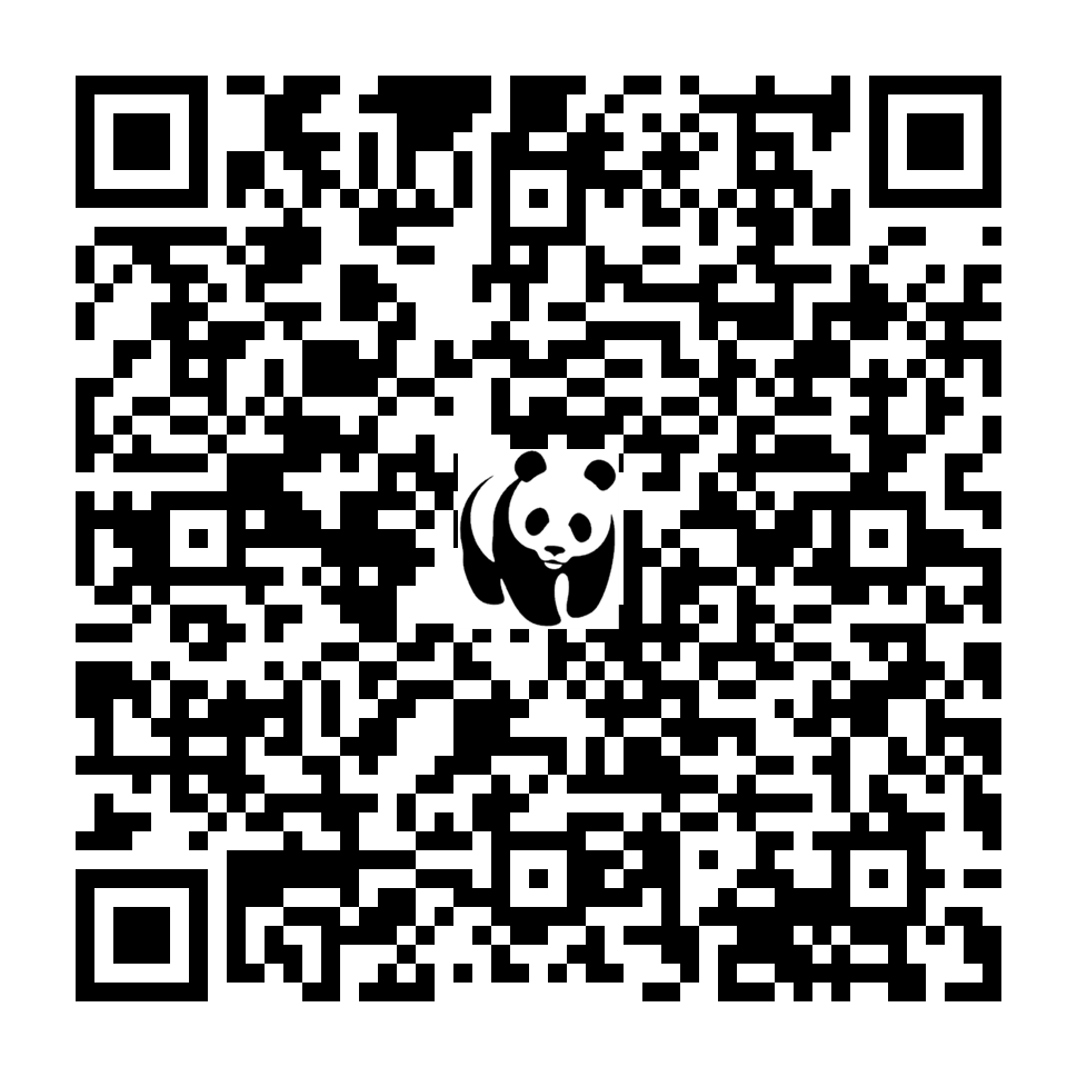 Scan deze QR-code om te doneren (vernieuw de pagina als je geen QR-code ziet)