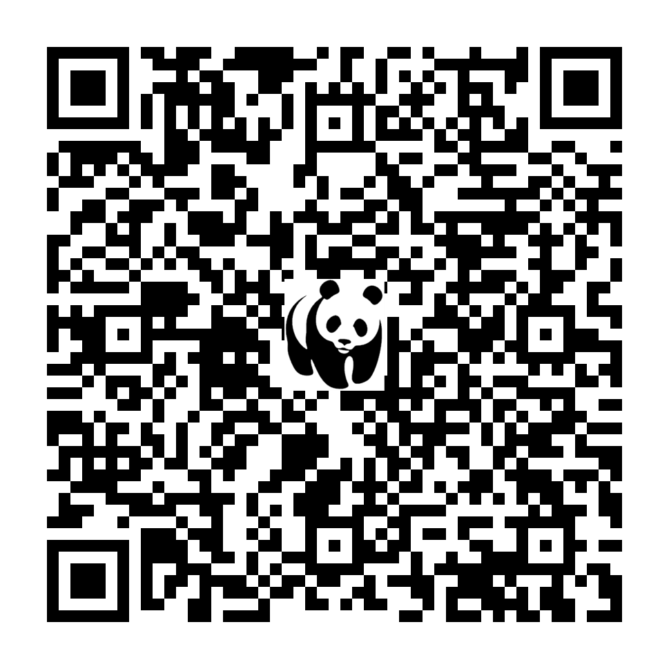 Scan deze QR-code om te doneren (vernieuw de pagina als je geen QR-code ziet)