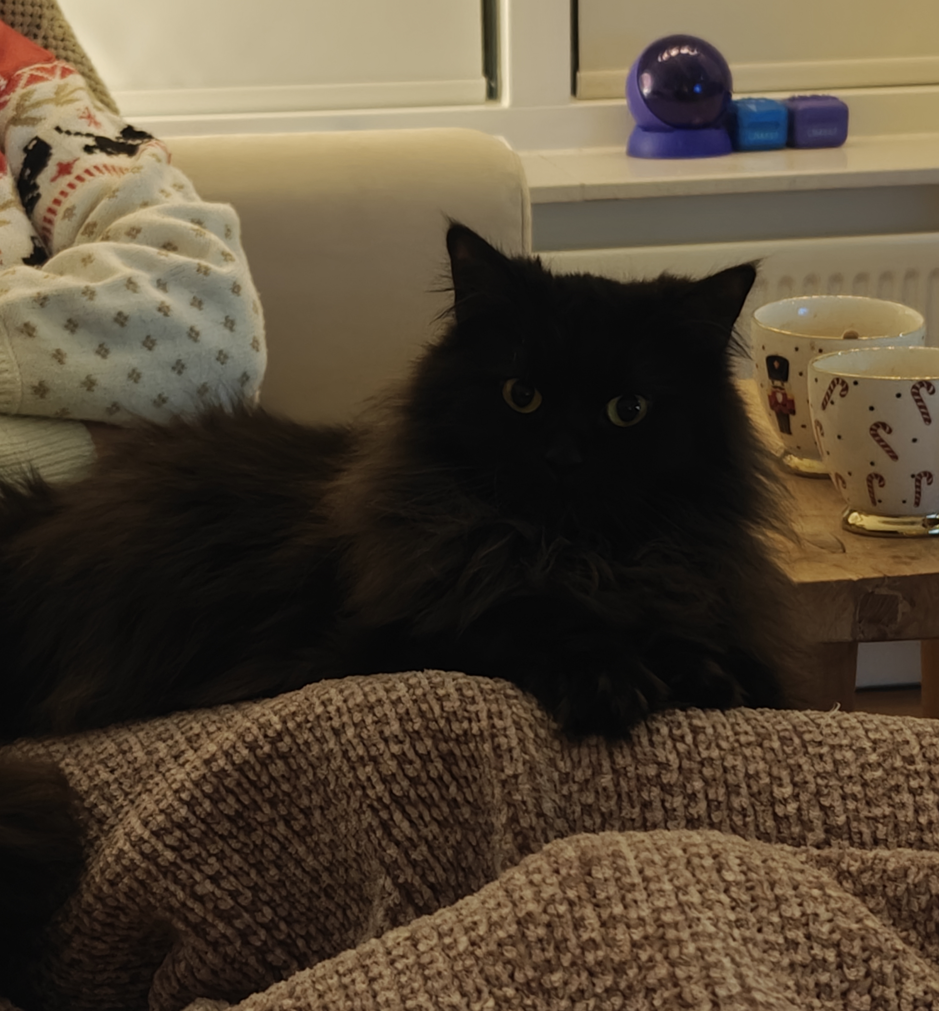 Kust voor de Olifant