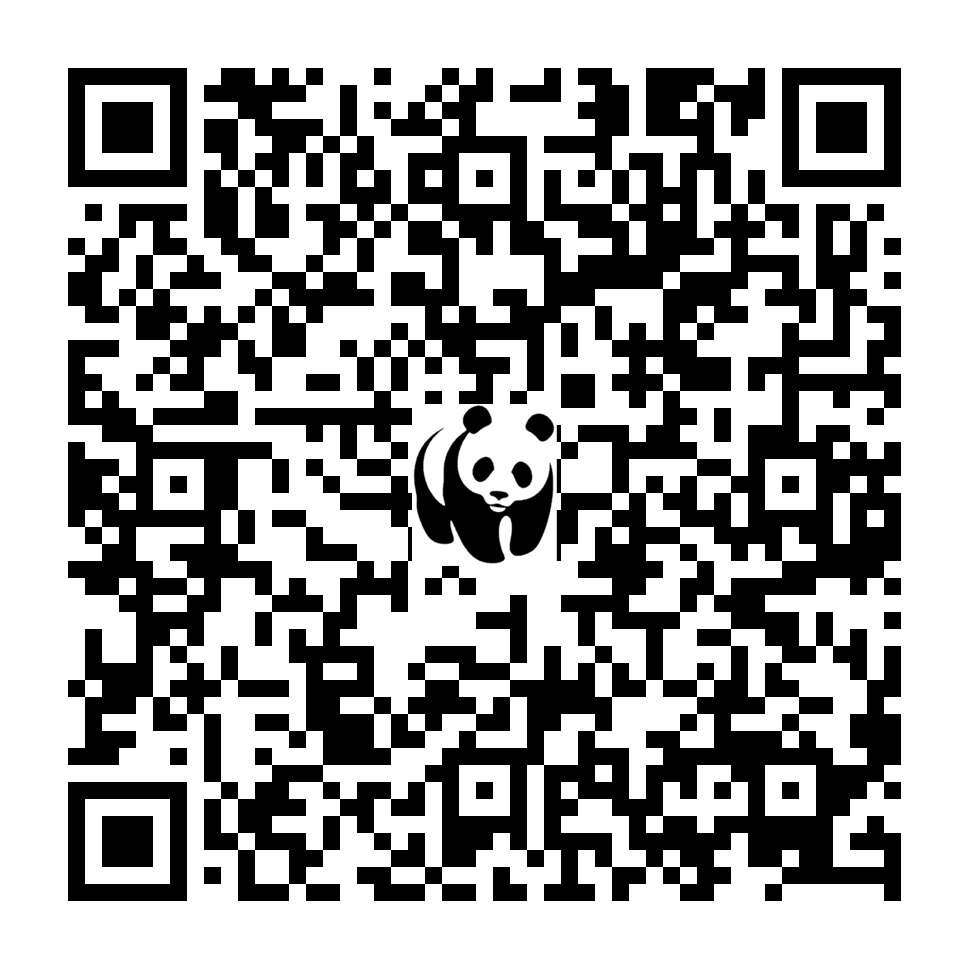 Scan deze QR-code om te doneren (vernieuw de pagina als je geen QR-code ziet)