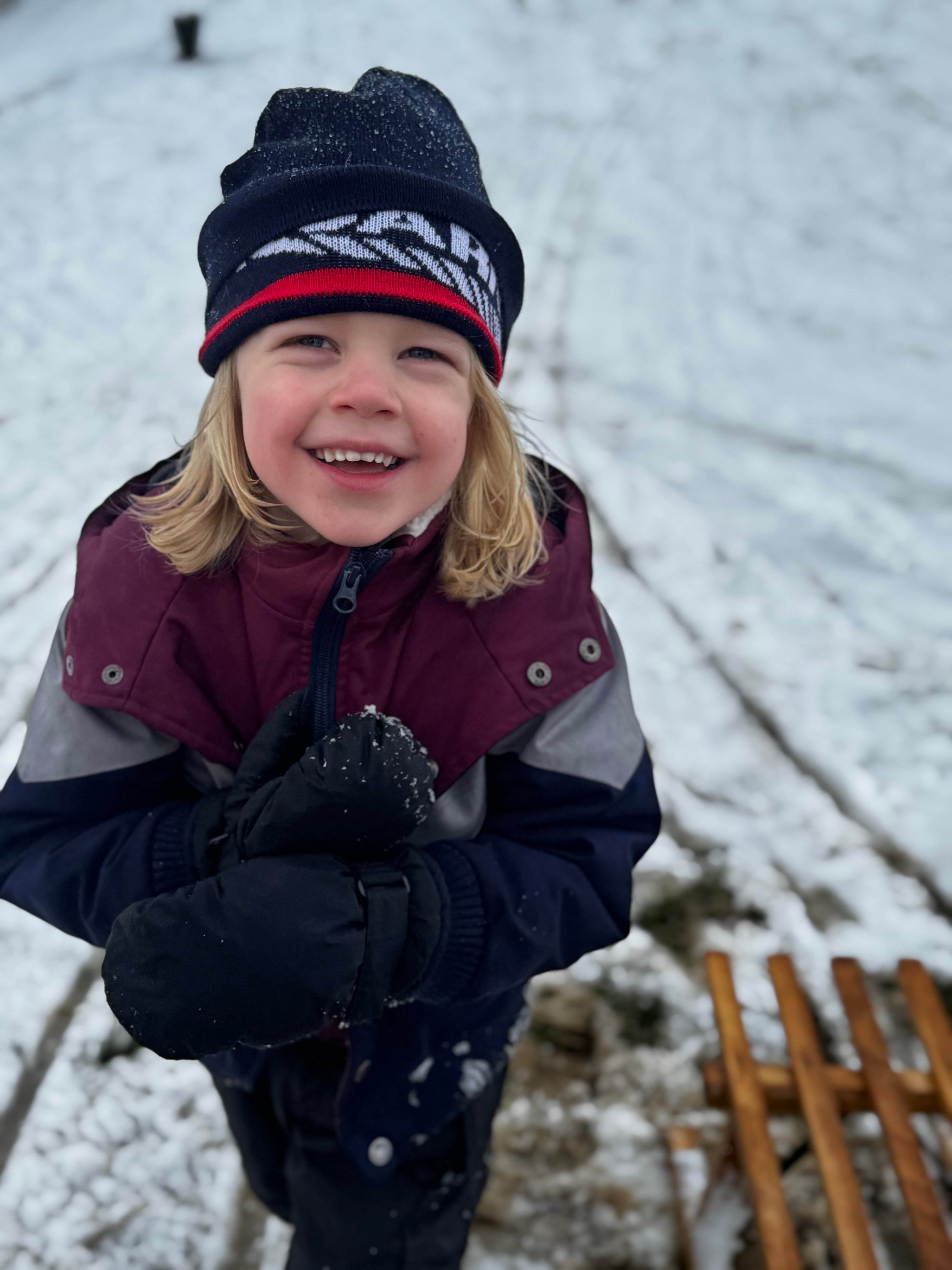 Otis voor de bosolifant