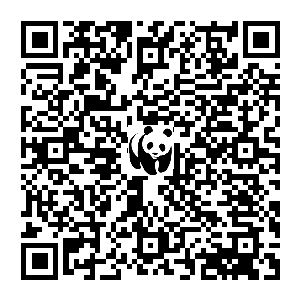 Scan deze QR-code om te doneren (vernieuw de pagina als je geen QR-code ziet)