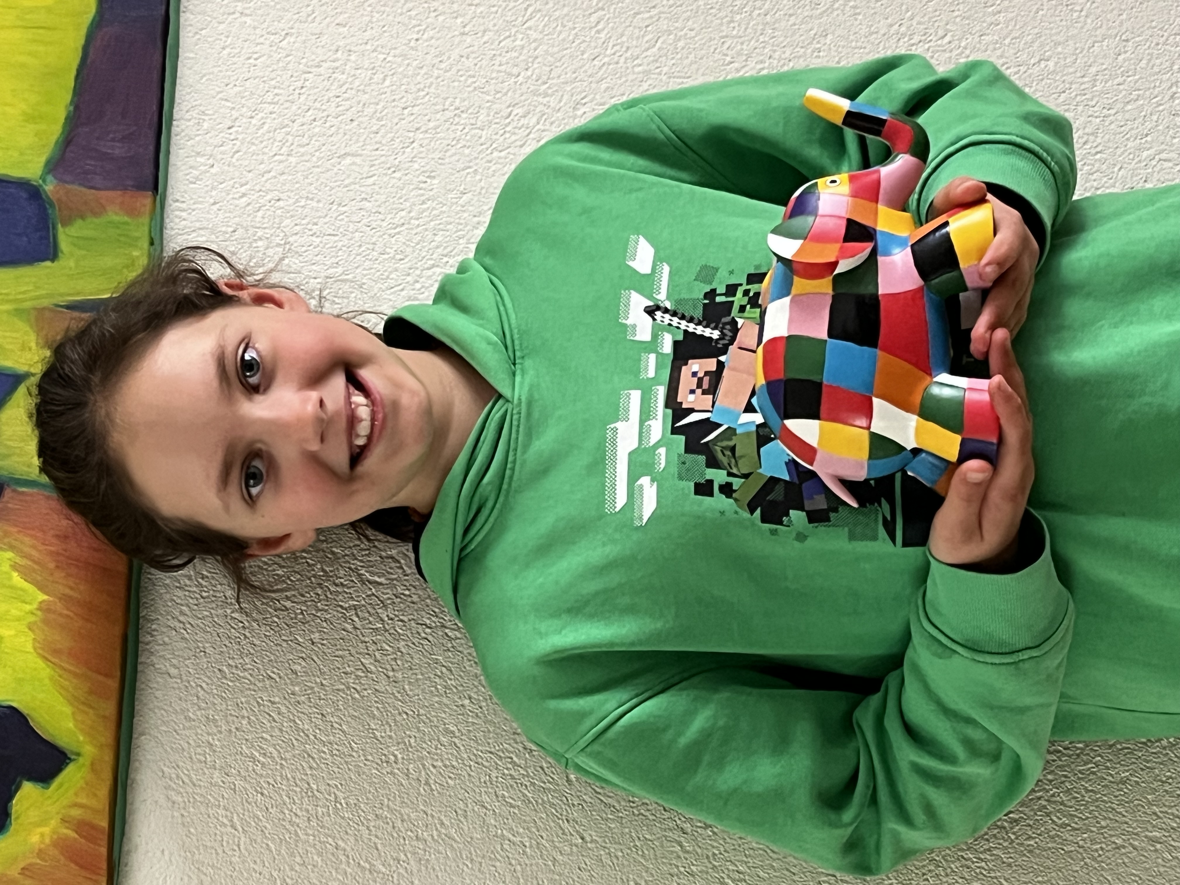 Nui helpt de olifanten