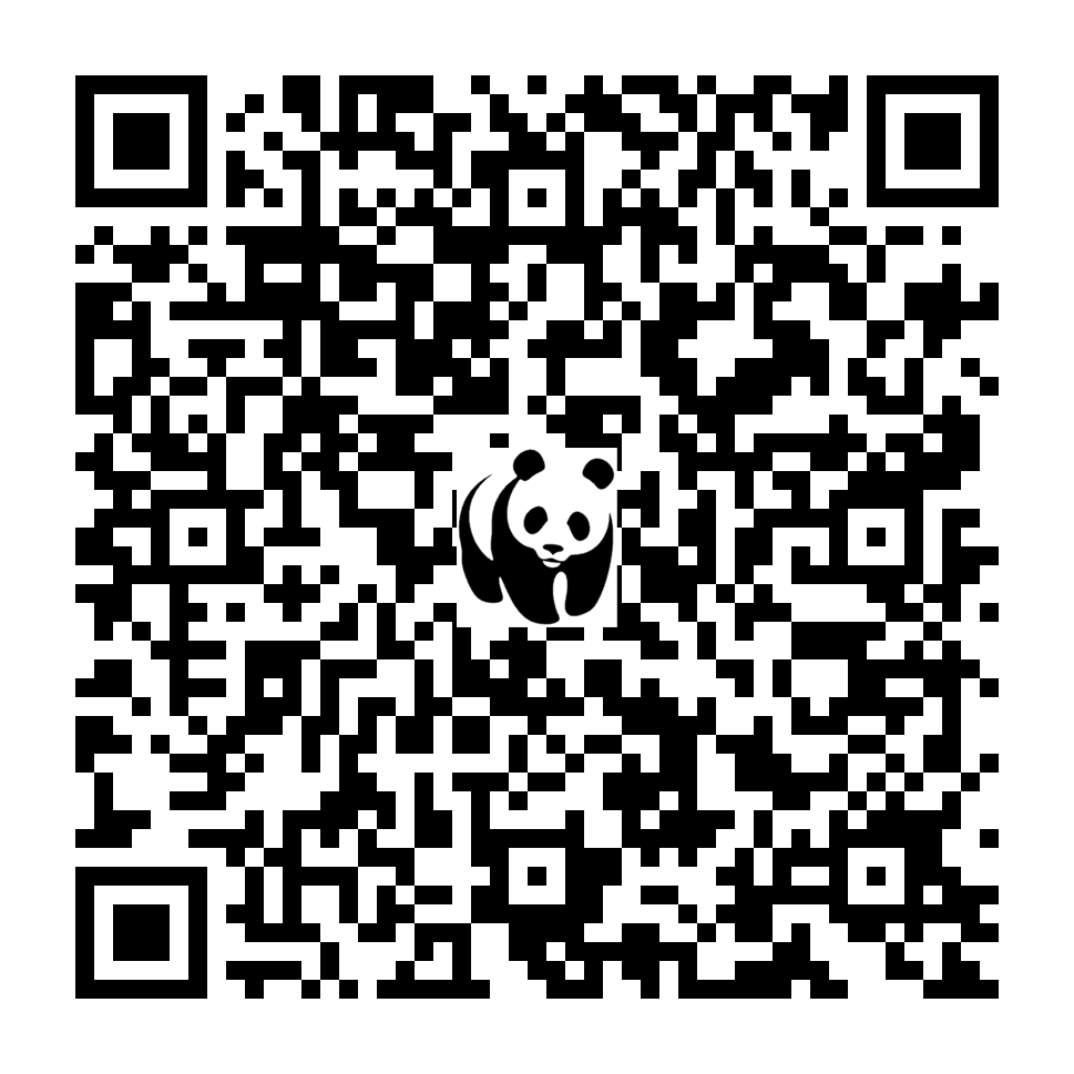 Scan deze QR-code om te doneren (vernieuw de pagina als je geen QR-code ziet)