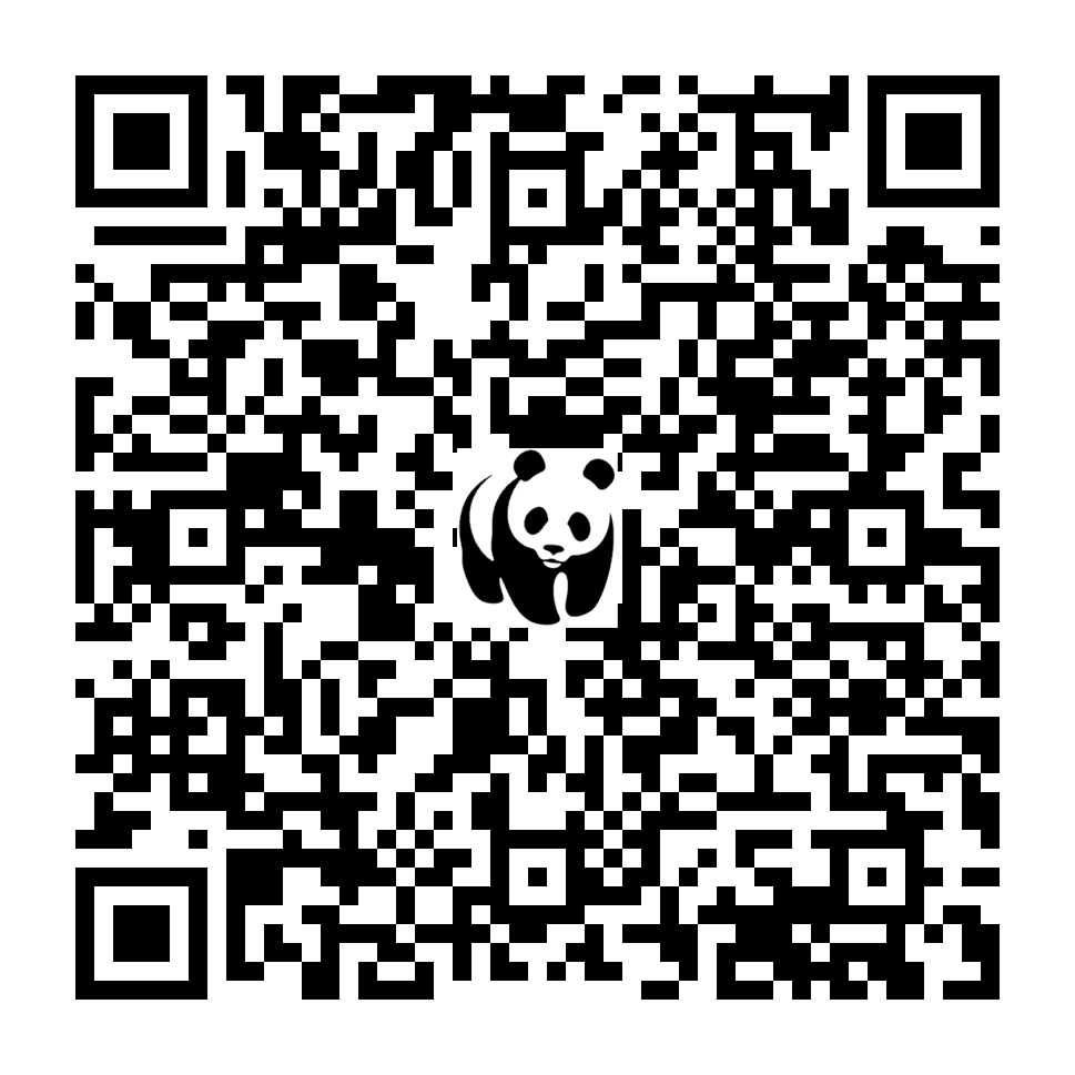 Scan deze QR-code om te doneren (vernieuw de pagina als je geen QR-code ziet)