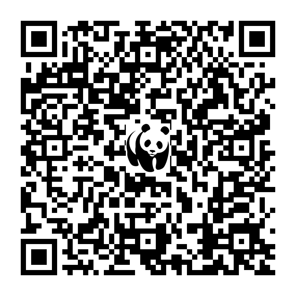 Scan deze QR-code om te doneren (vernieuw de pagina als je geen QR-code ziet)