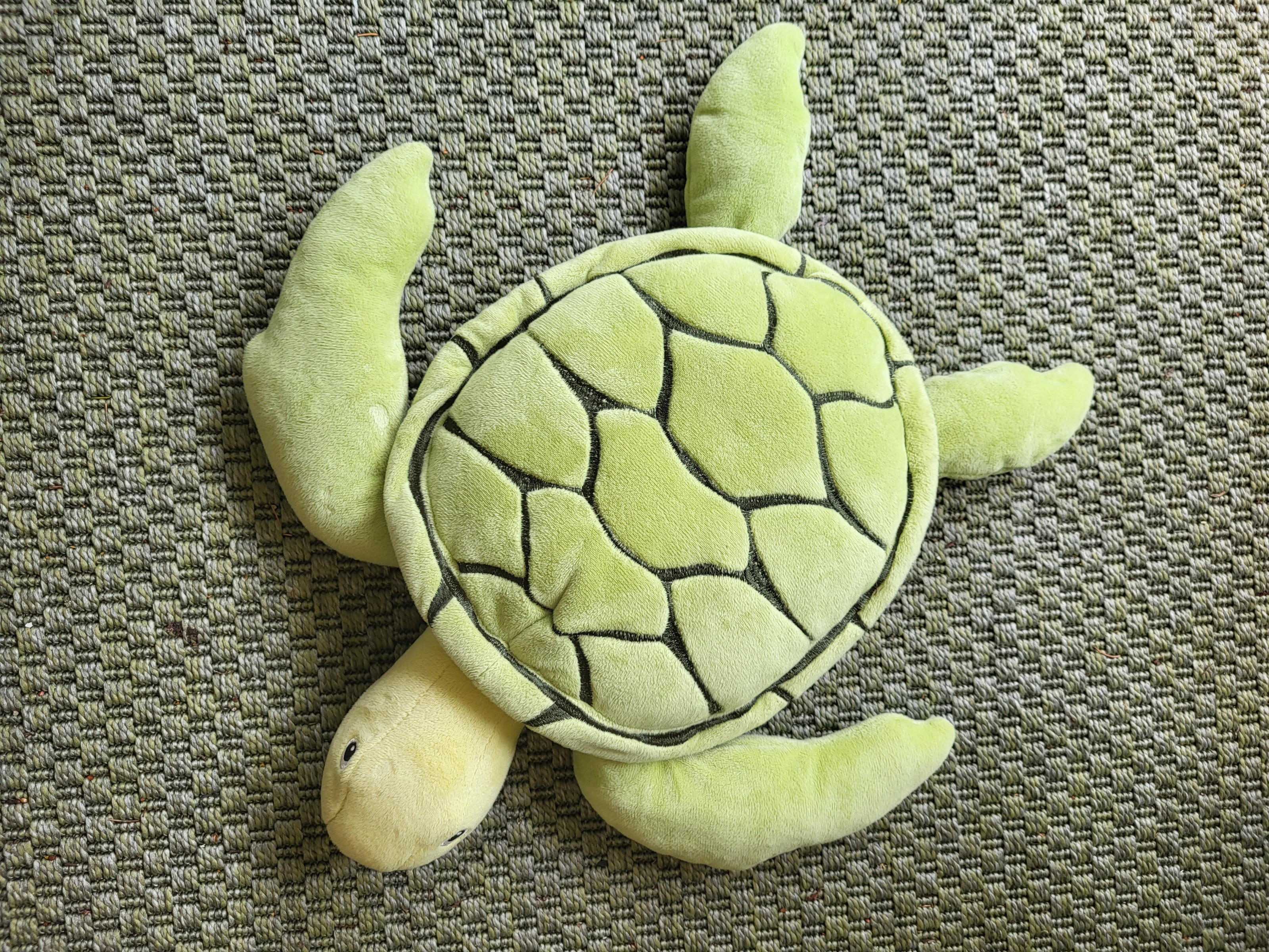 Red de zeeschildpadden