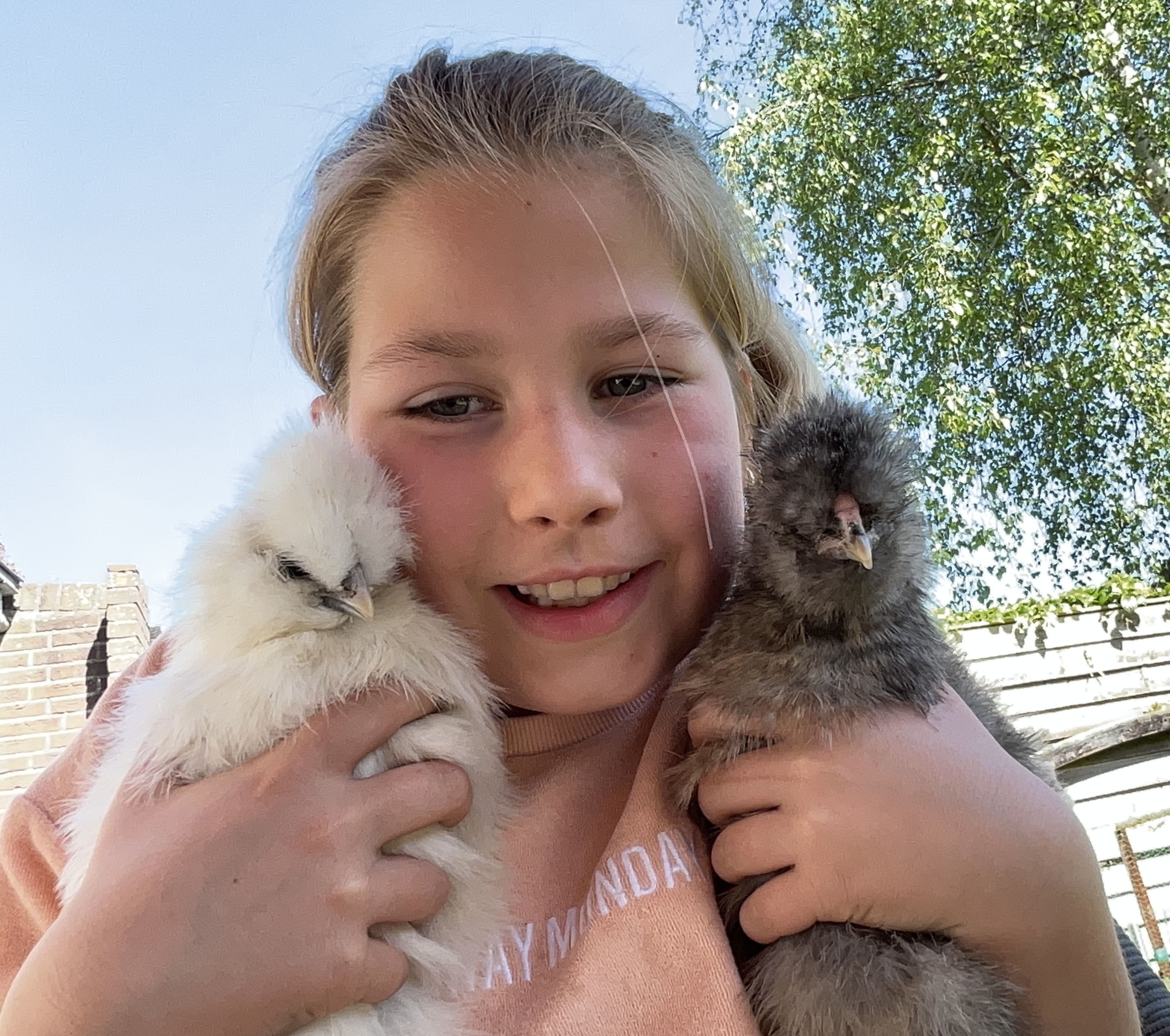 Red babyschildpadjes