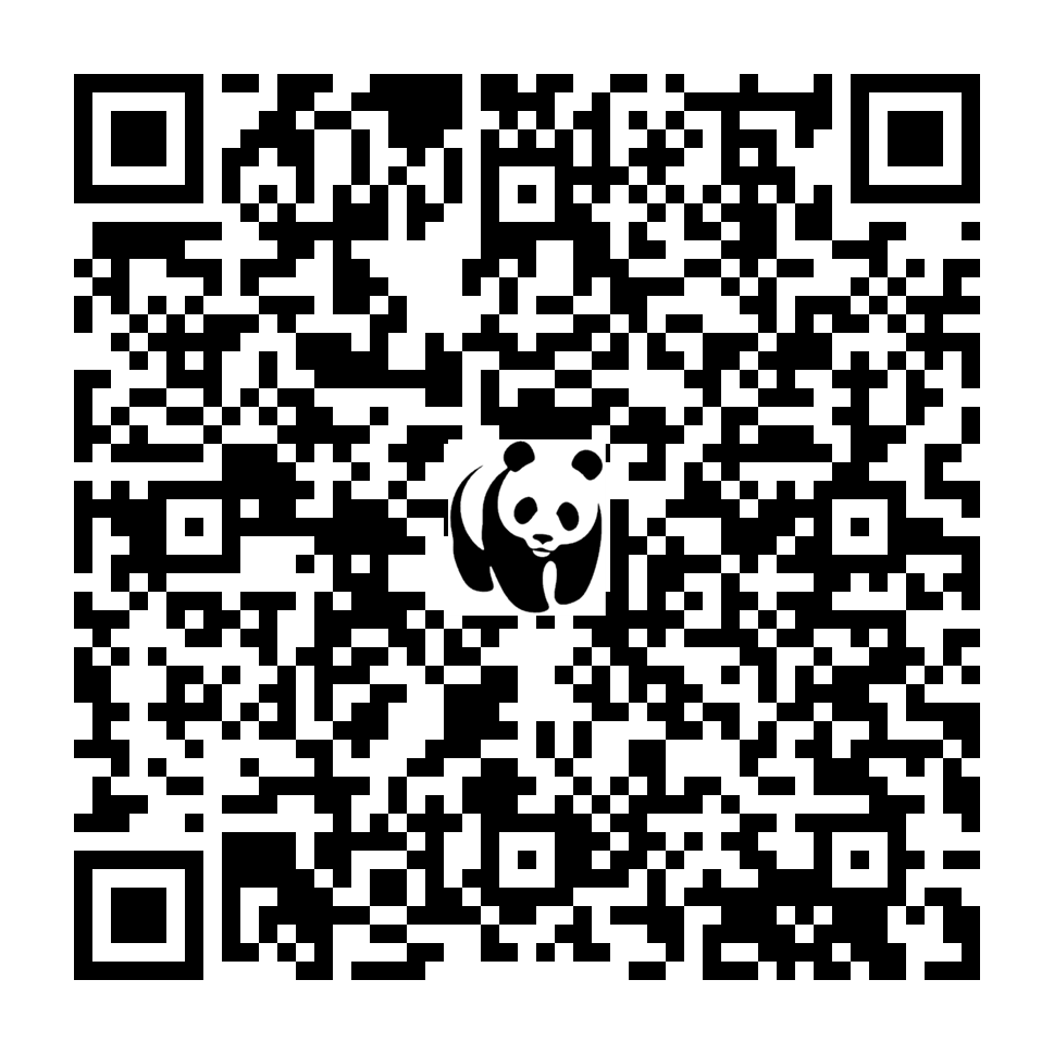 Scan deze QR-code om te doneren (vernieuw de pagina als je geen QR-code ziet)