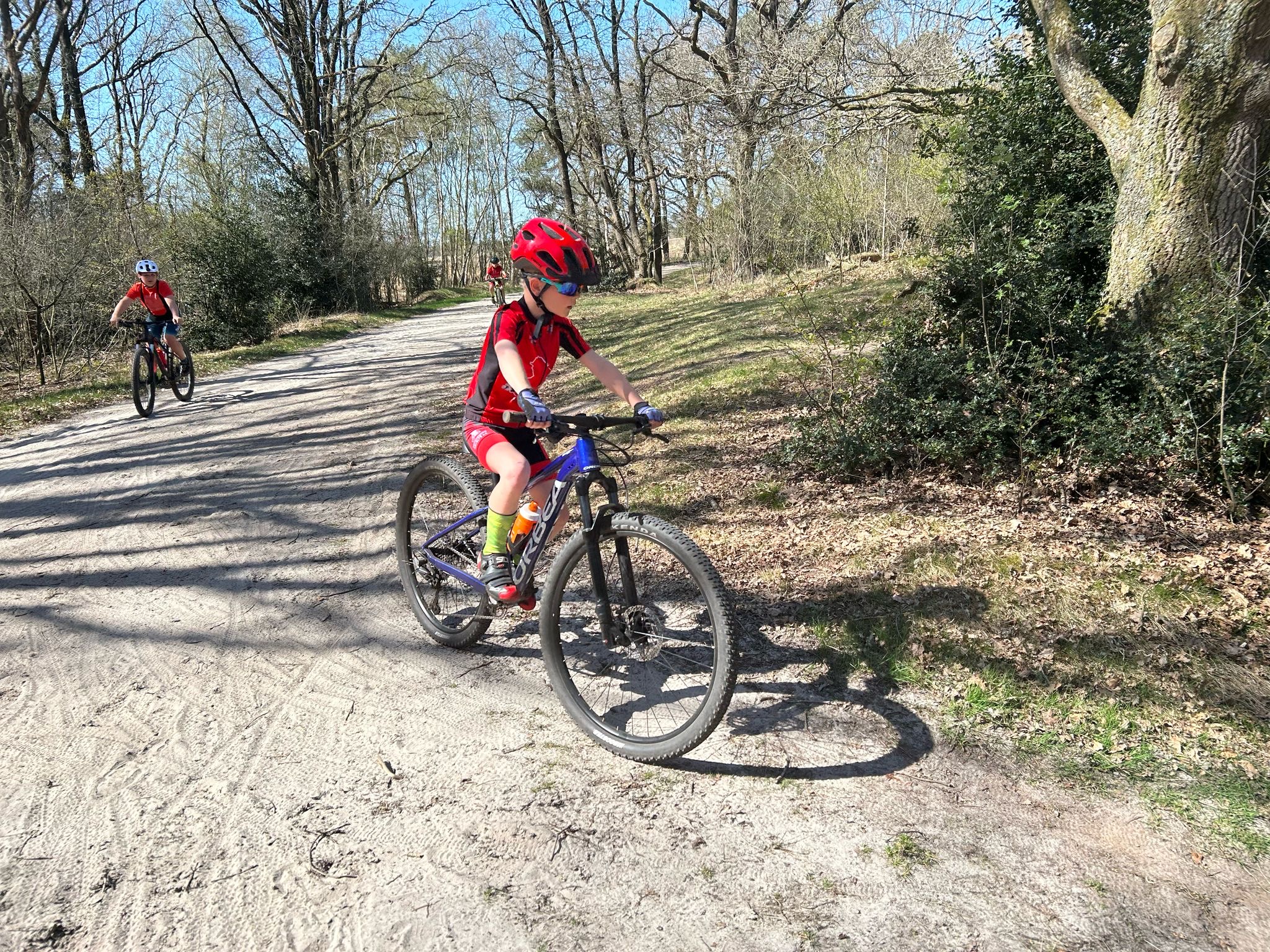 Bescherm de baby schildpa