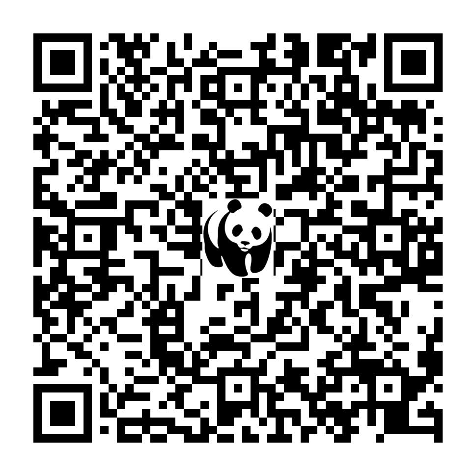 Scan deze QR-code om te doneren (vernieuw de pagina als je geen QR-code ziet)