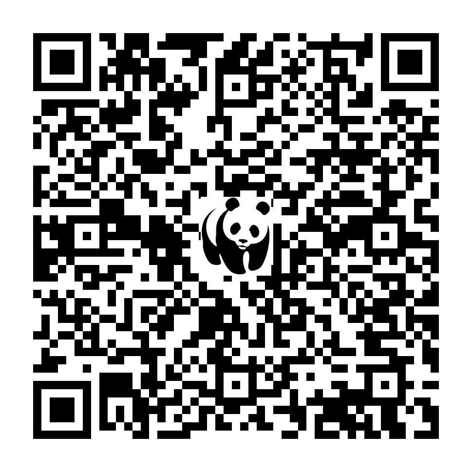 Scan deze QR-code om te doneren (vernieuw de pagina als je geen QR-code ziet)