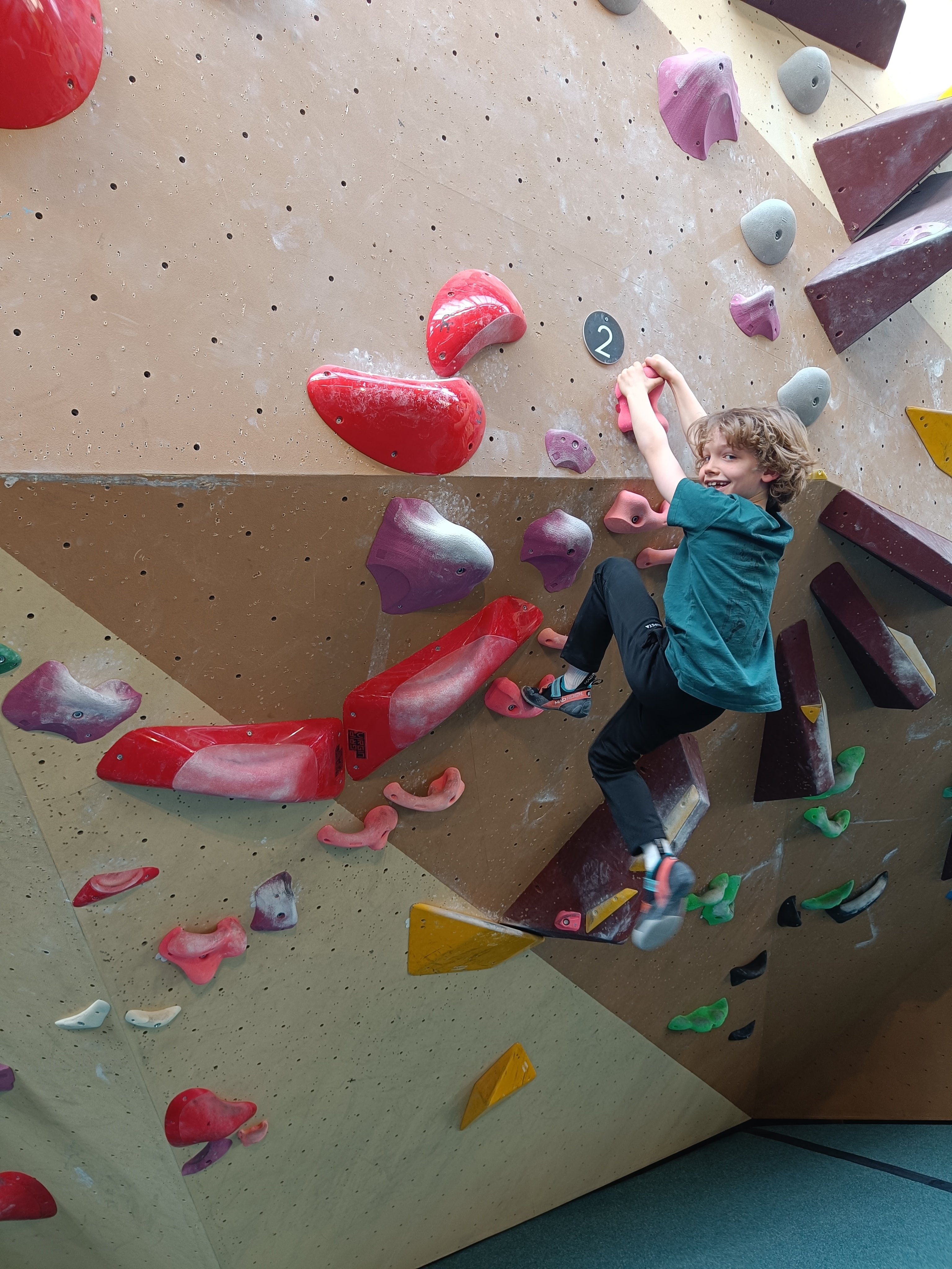 DJP redt de olifanten