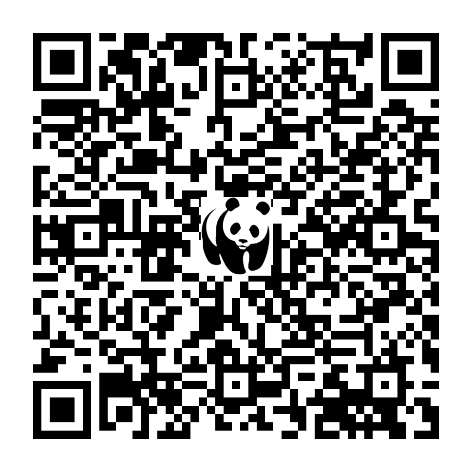 Scan deze QR-code om te doneren (vernieuw de pagina als je geen QR-code ziet)