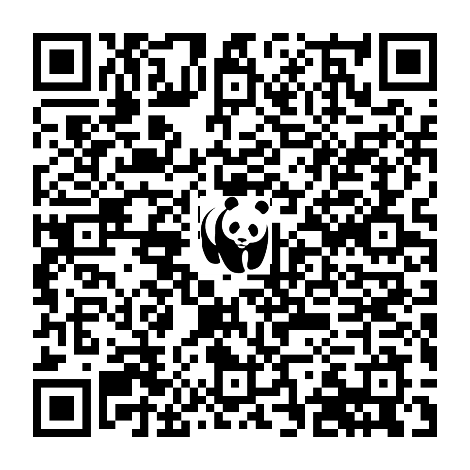 Scan deze QR-code om te doneren (vernieuw de pagina als je geen QR-code ziet)