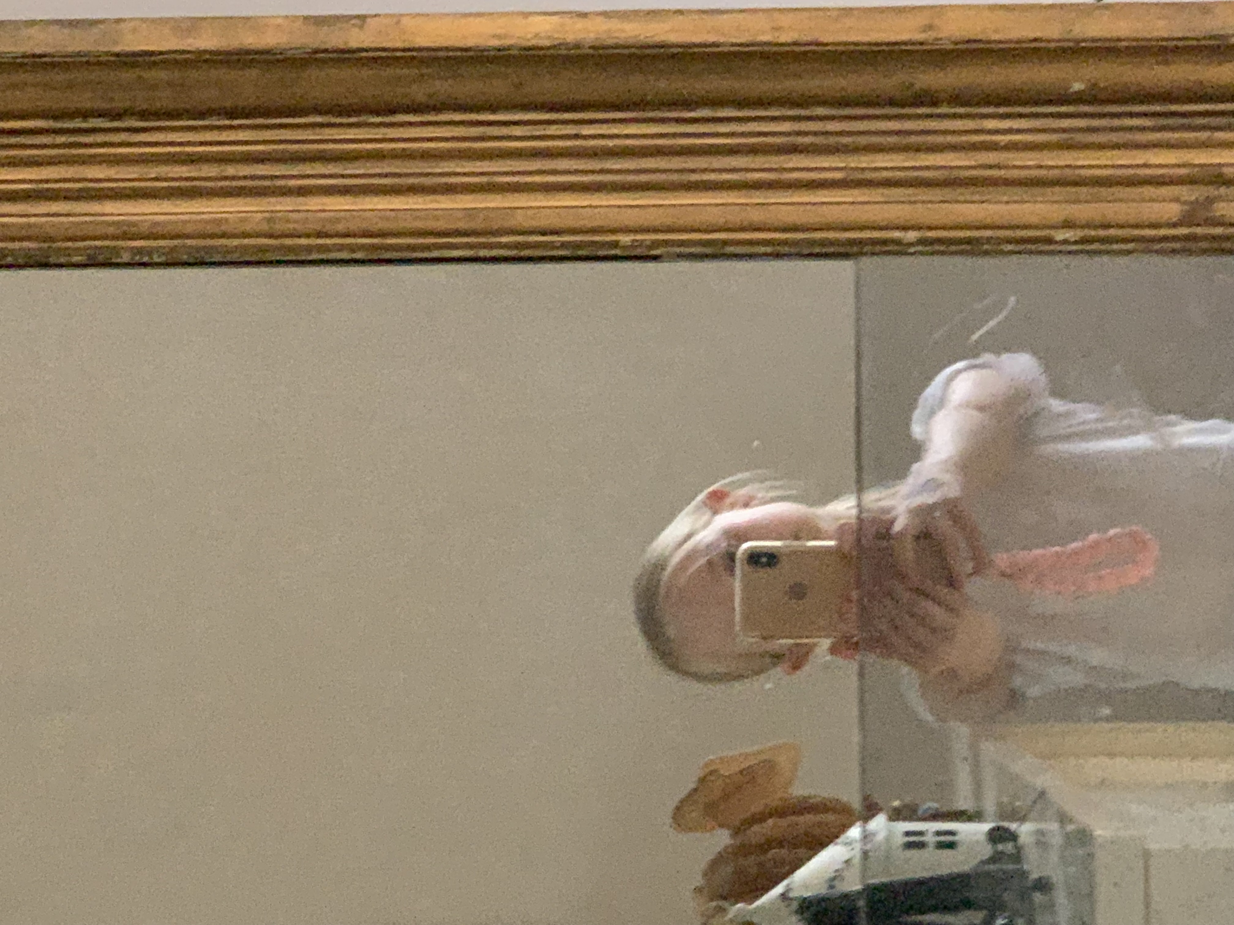 Bruschetta voor olifant