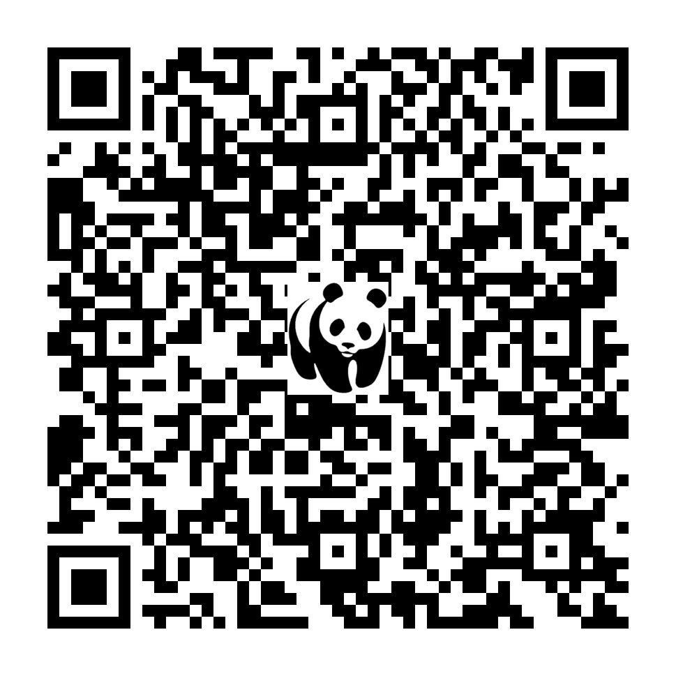 Scan deze QR-code om te doneren (vernieuw de pagina als je geen QR-code ziet)