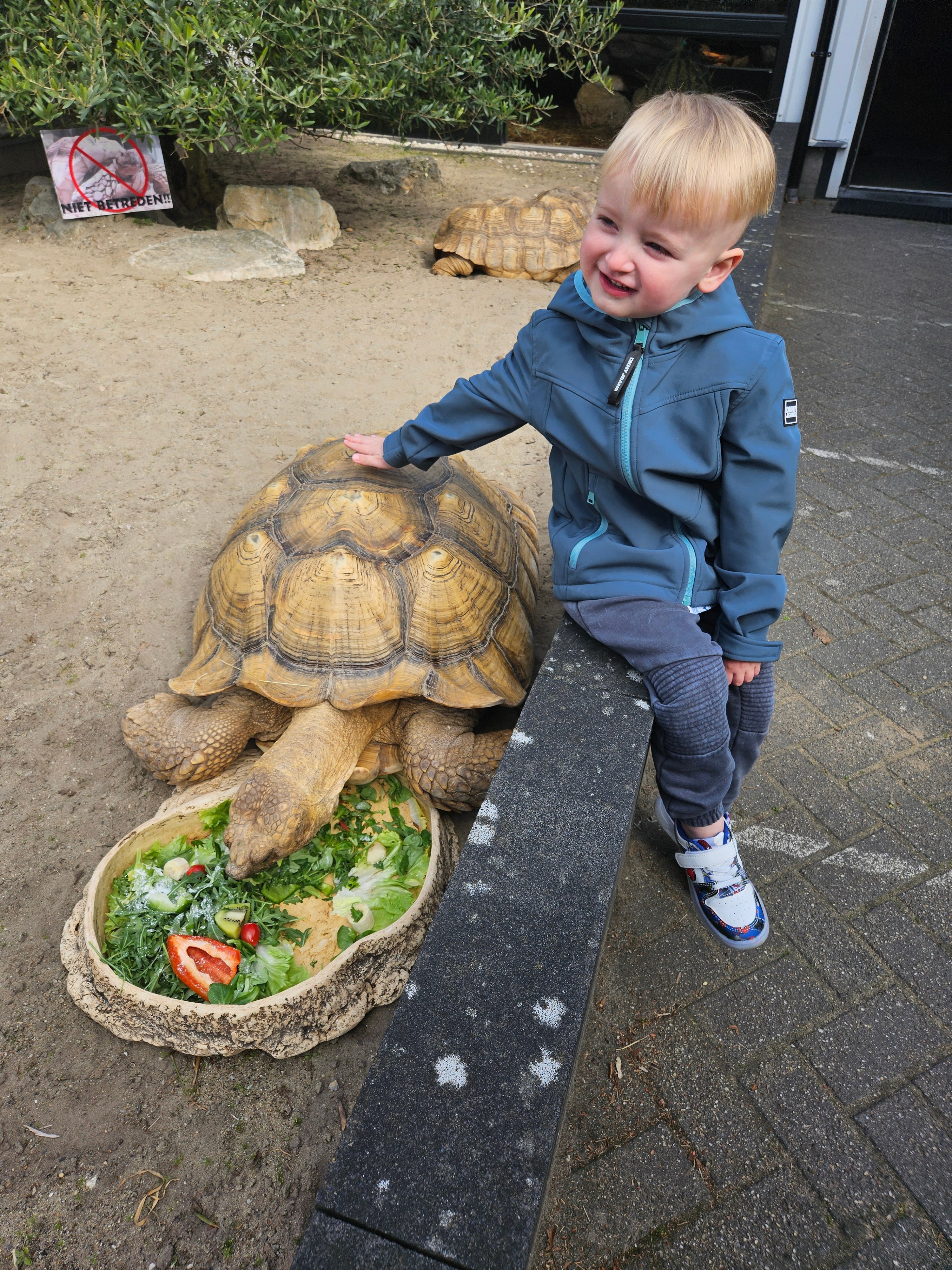 Schildpaddenvriend Enzo 